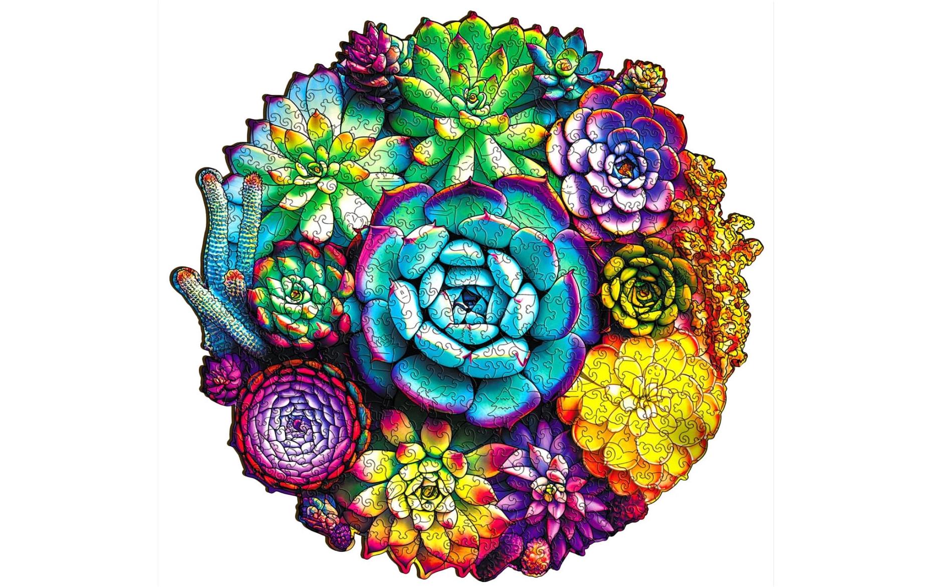 Holzpuzzle Sukkulenten Escape Welt