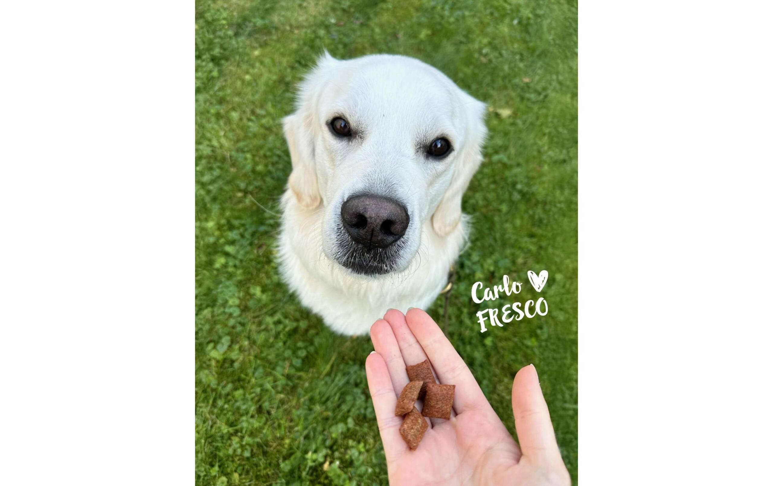 Fresco Veggie-Snack Knusper Gemüsekissen 800 g – Bild 4