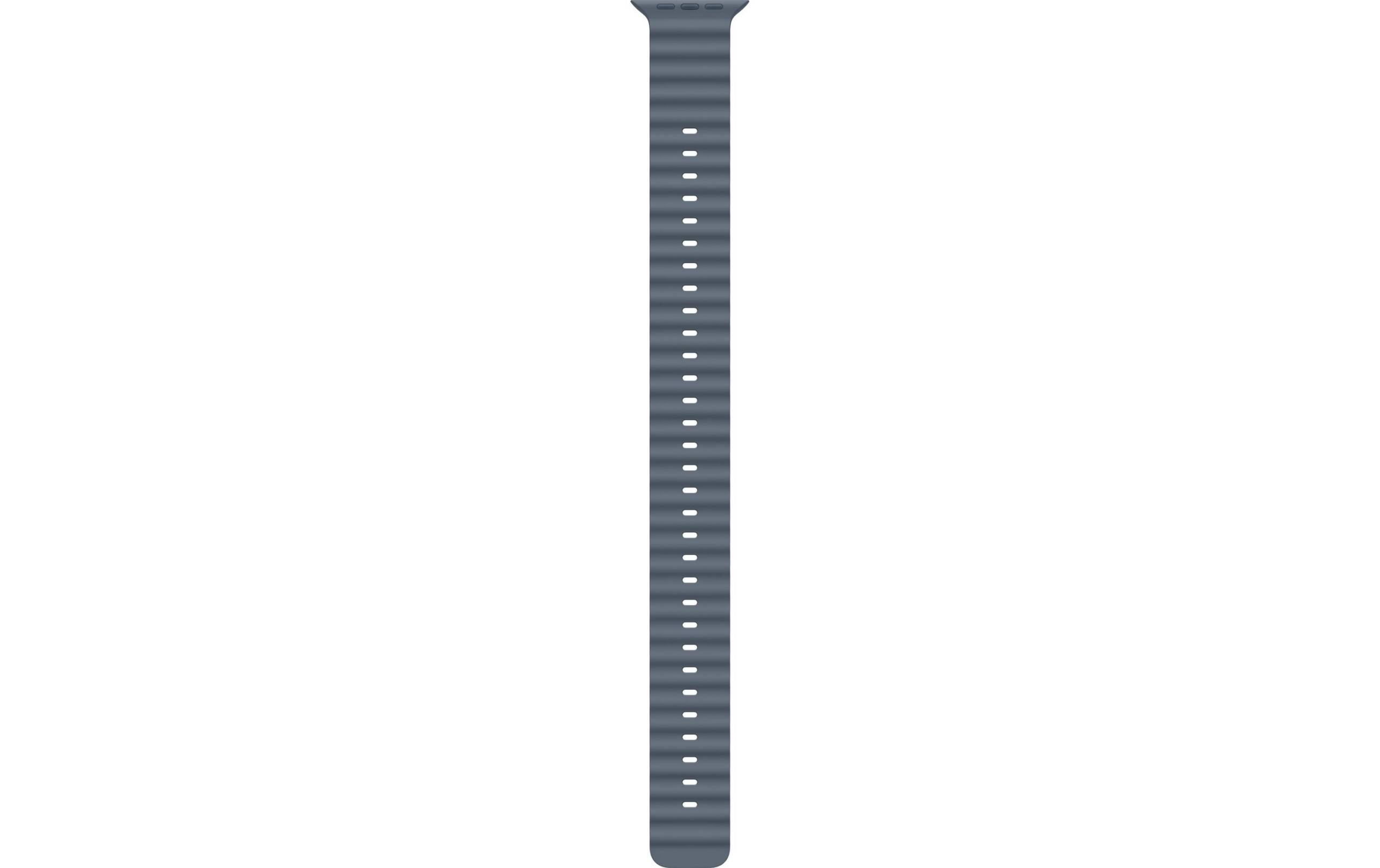 Apple OceanBand Extension 49mm AnchorBlue Natural Titanium Finish