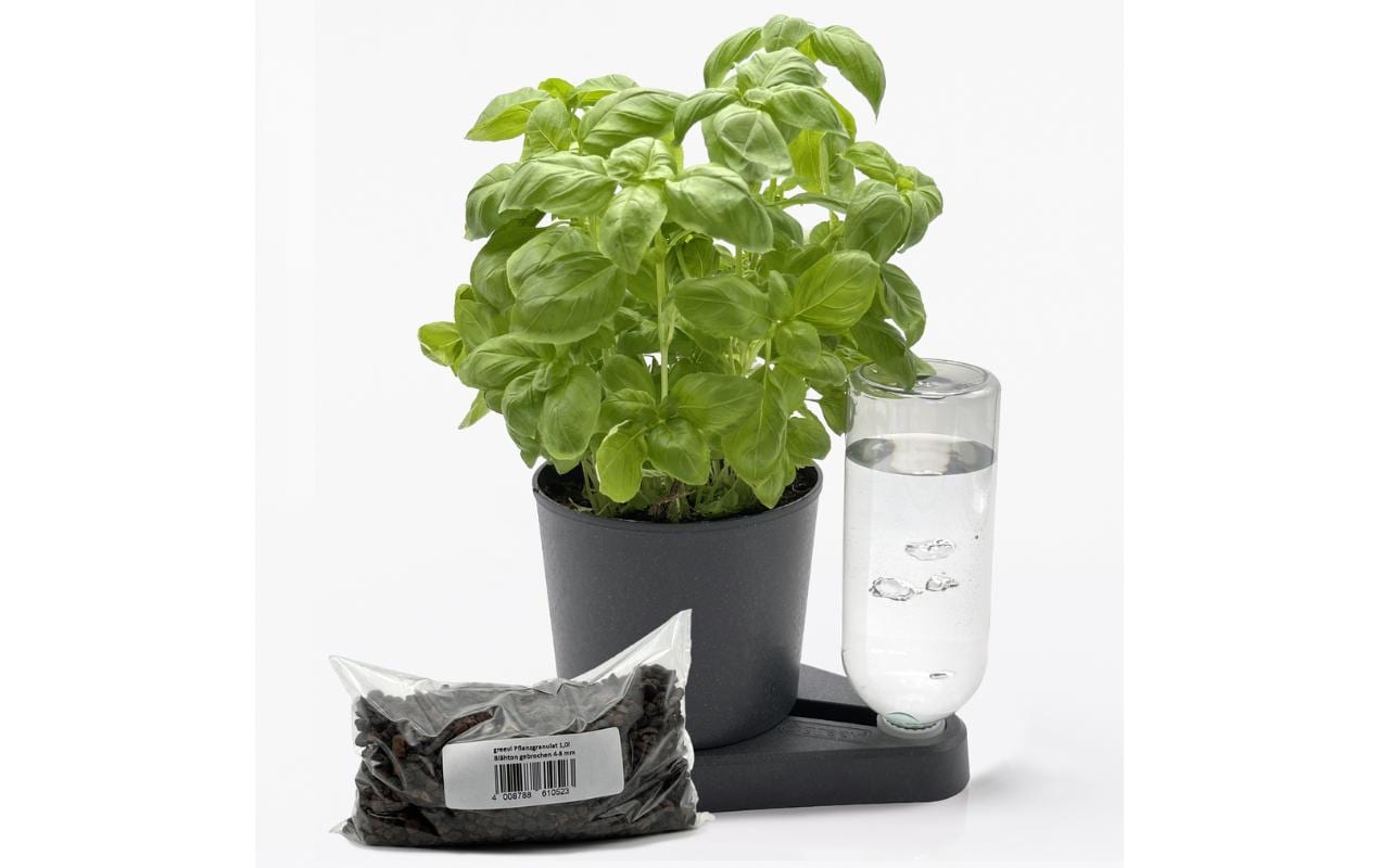 Kräuterheld+1l Pflanzgranulat bio-anthrazit Selbstbewässernder Pflanztopf