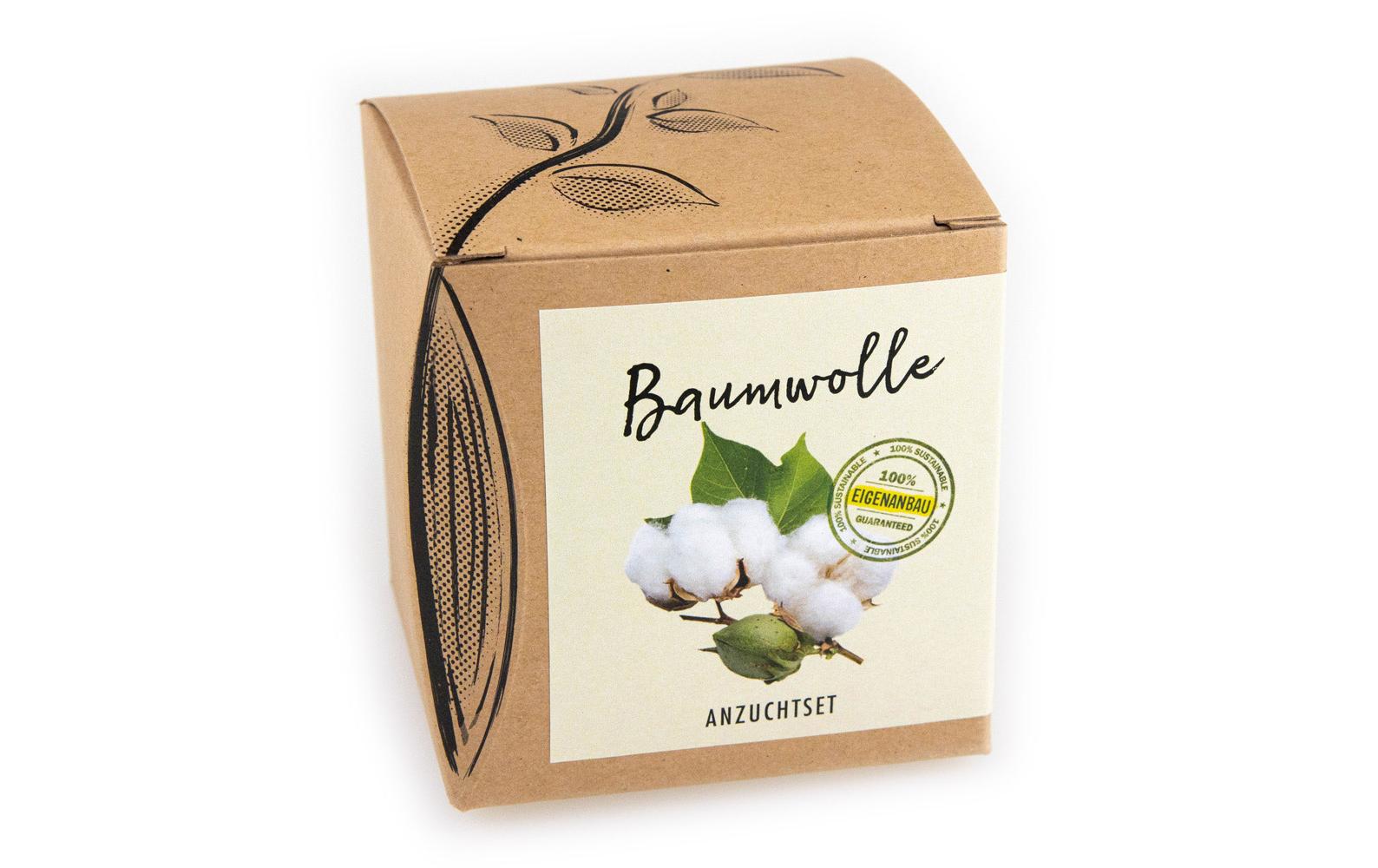 Anzucht Baumwolle Set mit Saatgut der Topfbaumwolle