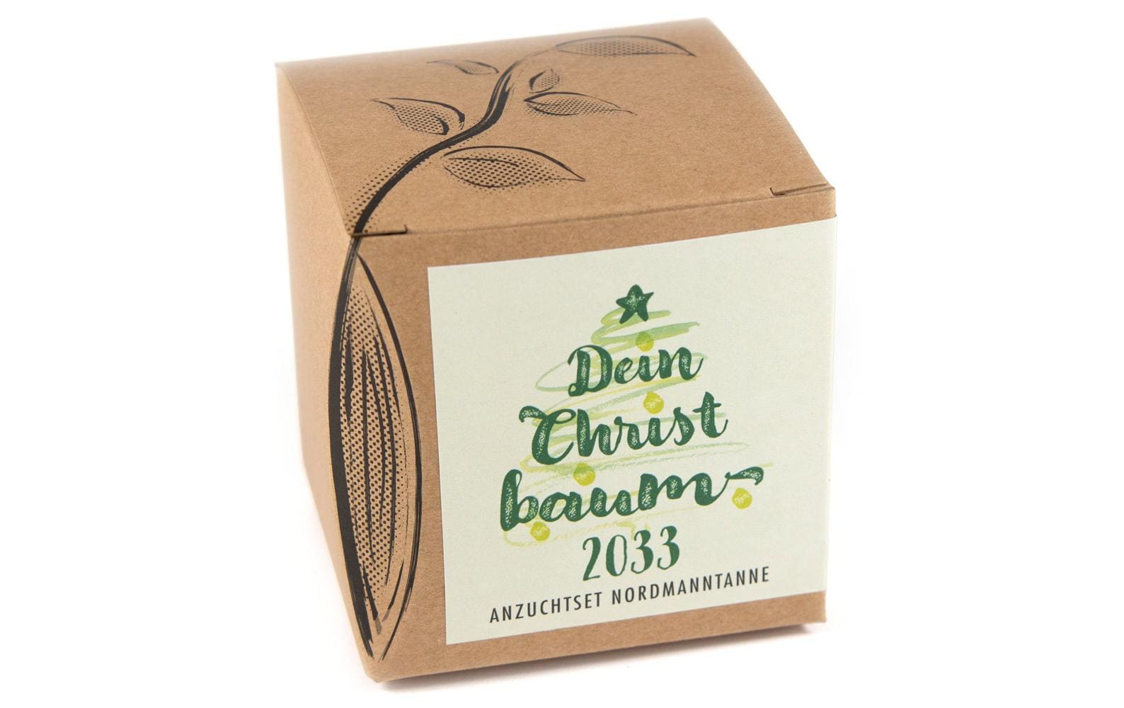 Anzucht Dein Christbaum 2033 Set mit Nordmanntanne