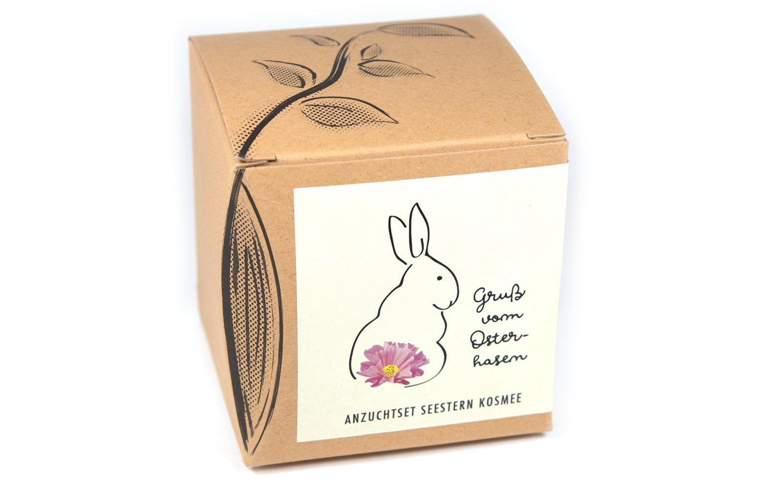 Anzucht Gruss vom Osterhasen Set mit Seestern Kosmee