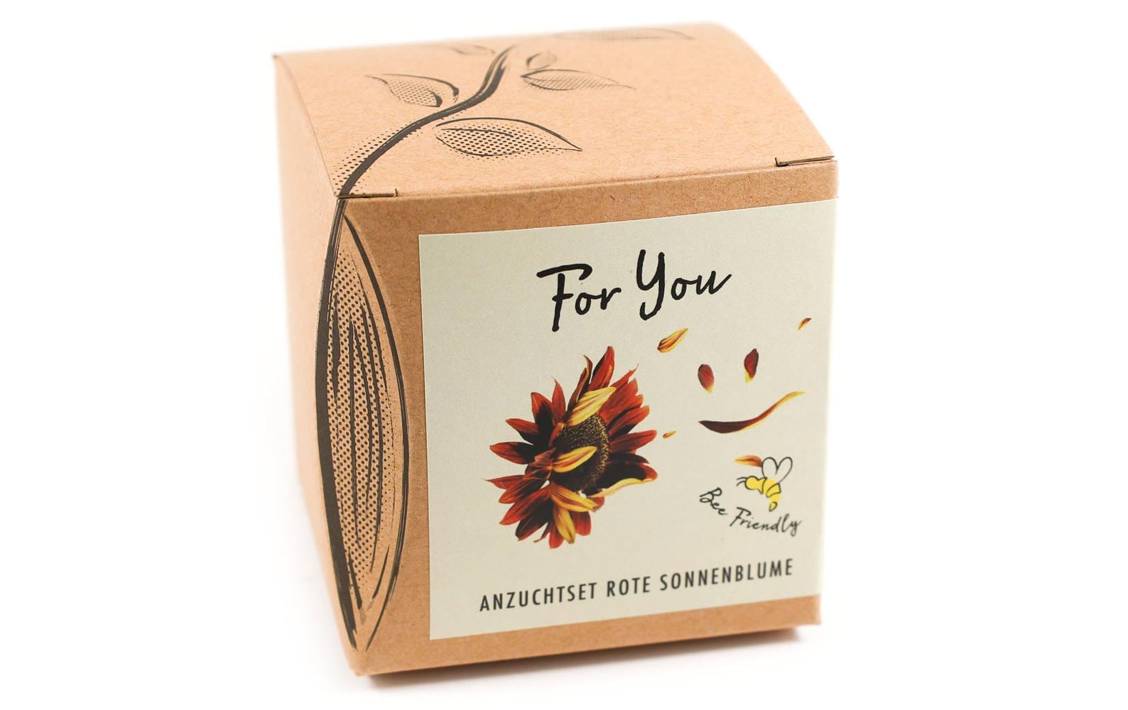 Anzucht For You Set mit Sonnenblume Abendrot