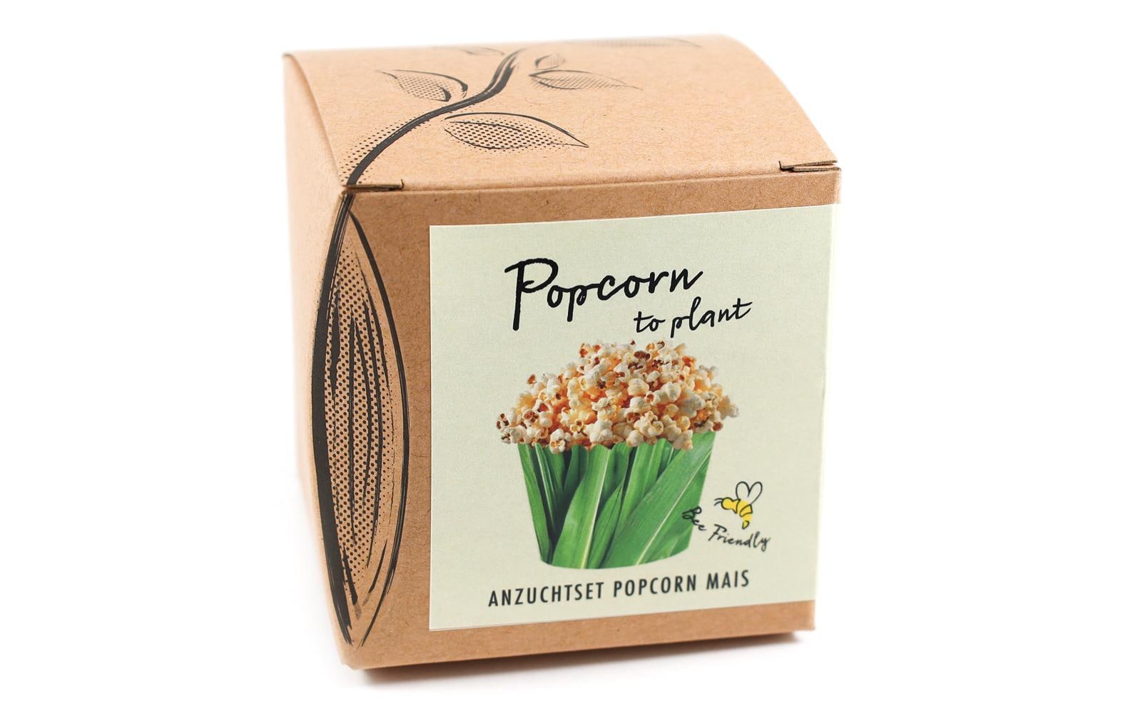 Anzucht Popcorn-to-Plant Set mit Popcorn Mais