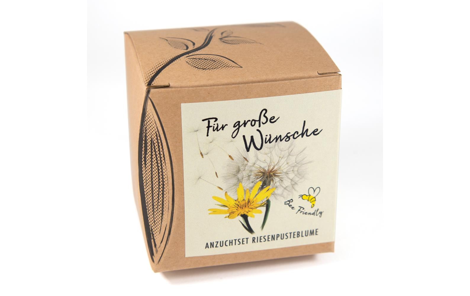 Anzucht Für grosse Wünsche Set mit Riesenpusteblume