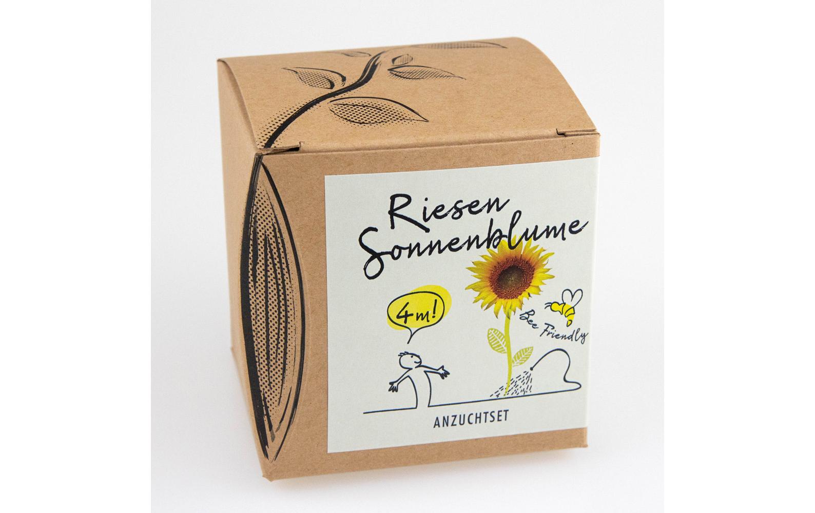 Anzucht Riesensonnenblume Set+Saatgut 4 m hohe Riesensonnenblume
