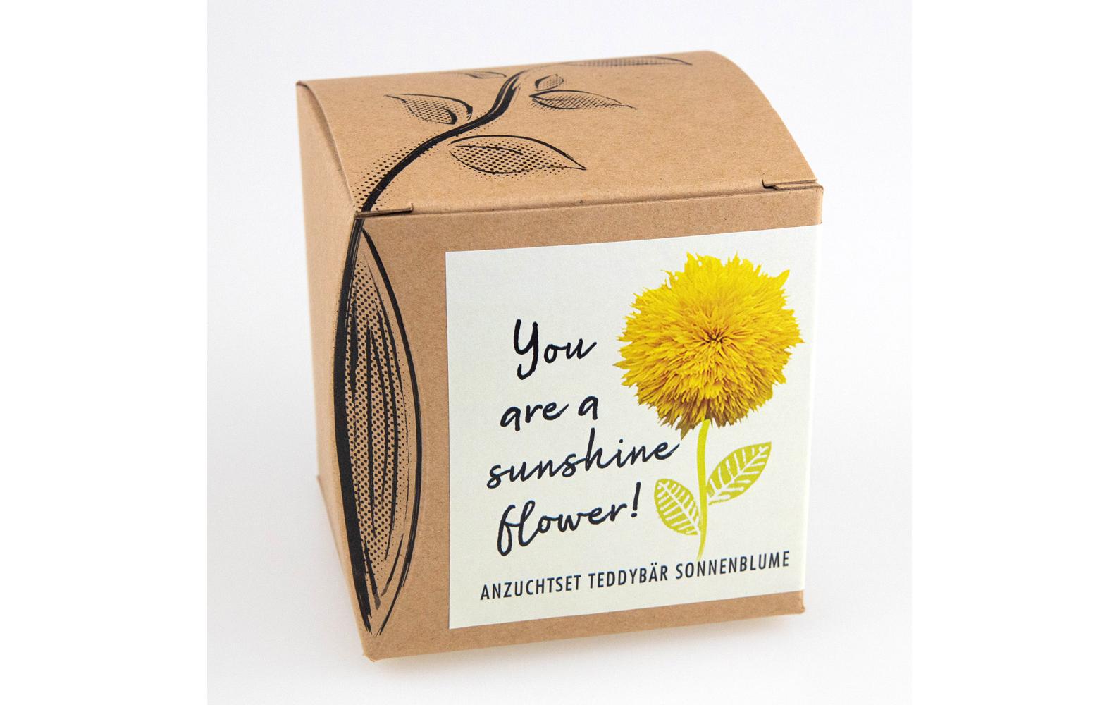 AnzuchtYou are a Sunshine Flower Set mit Teddybär Sonnenblume