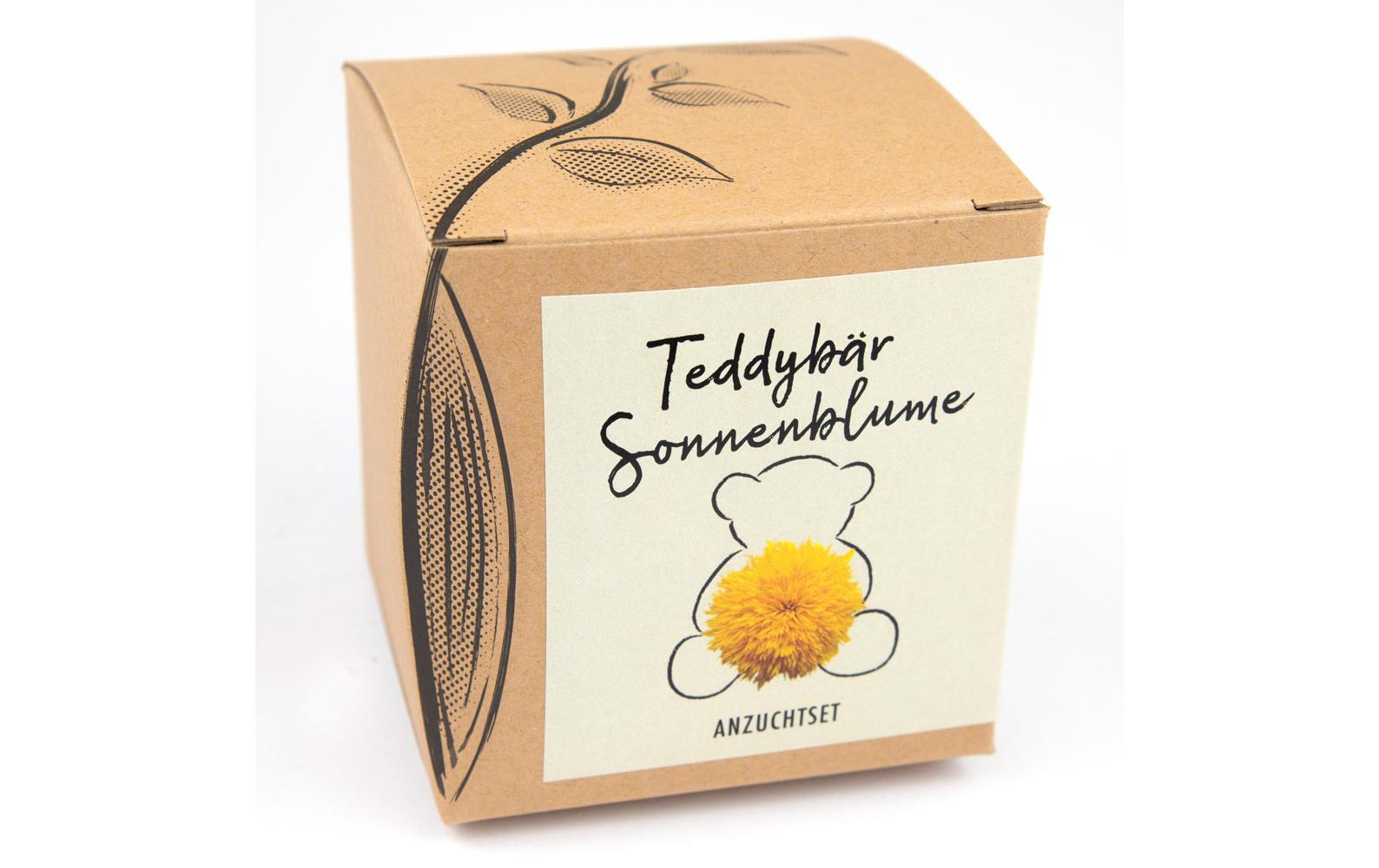 Anzucht Teddybär Set mit Teddybär Sonnenblume