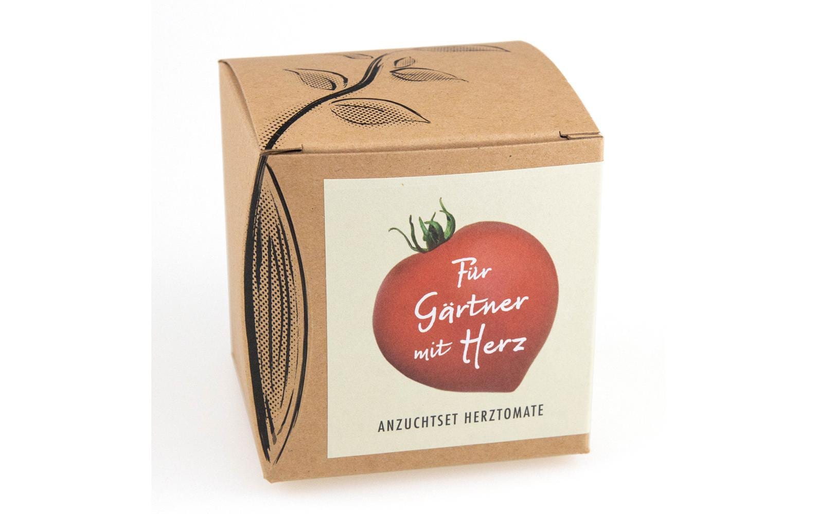 Anzucht Herztomate Set mit Saatgut der Herztomate