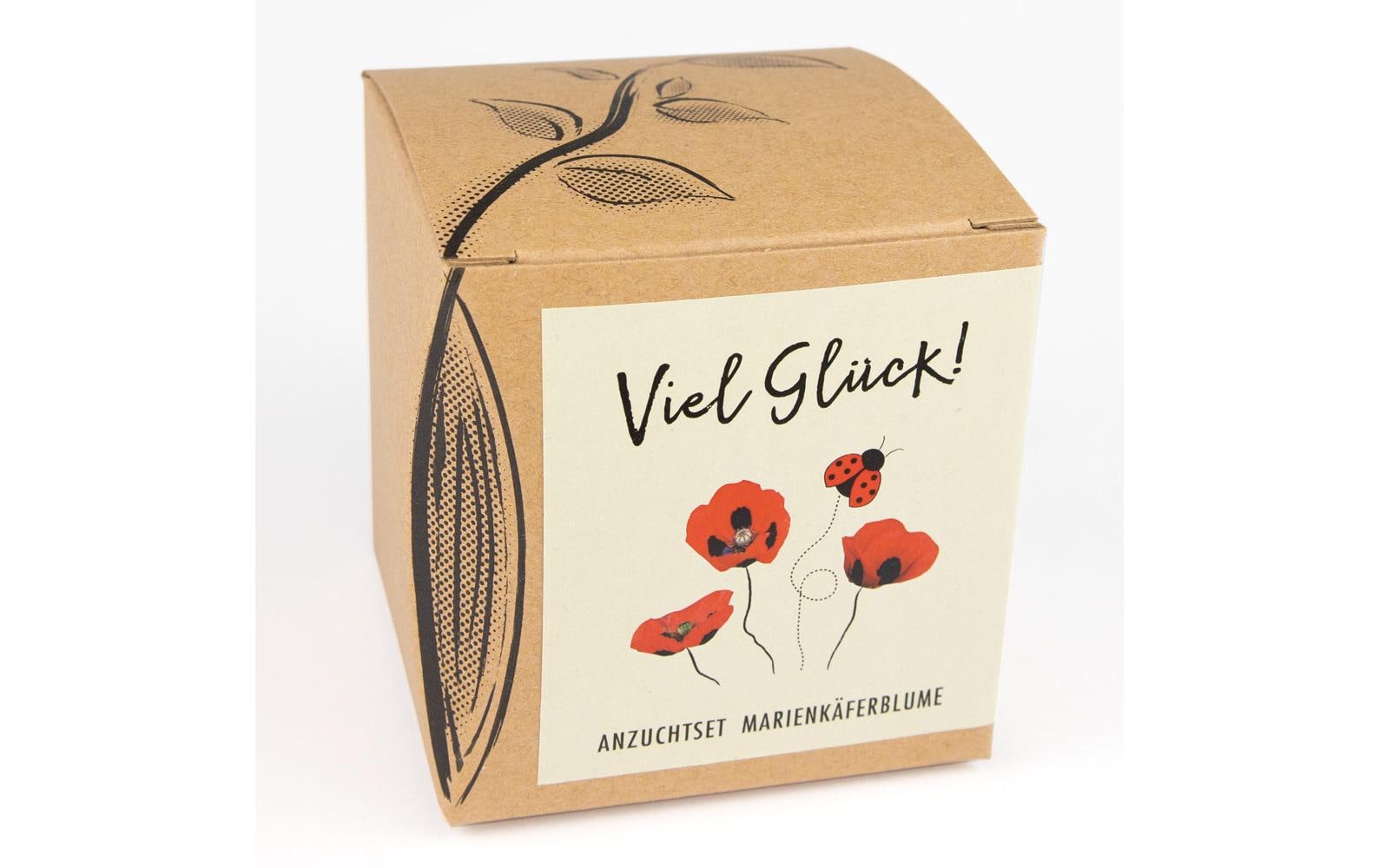AnzuchtViel Glück Set mit Marienkäfer-Mohnblume