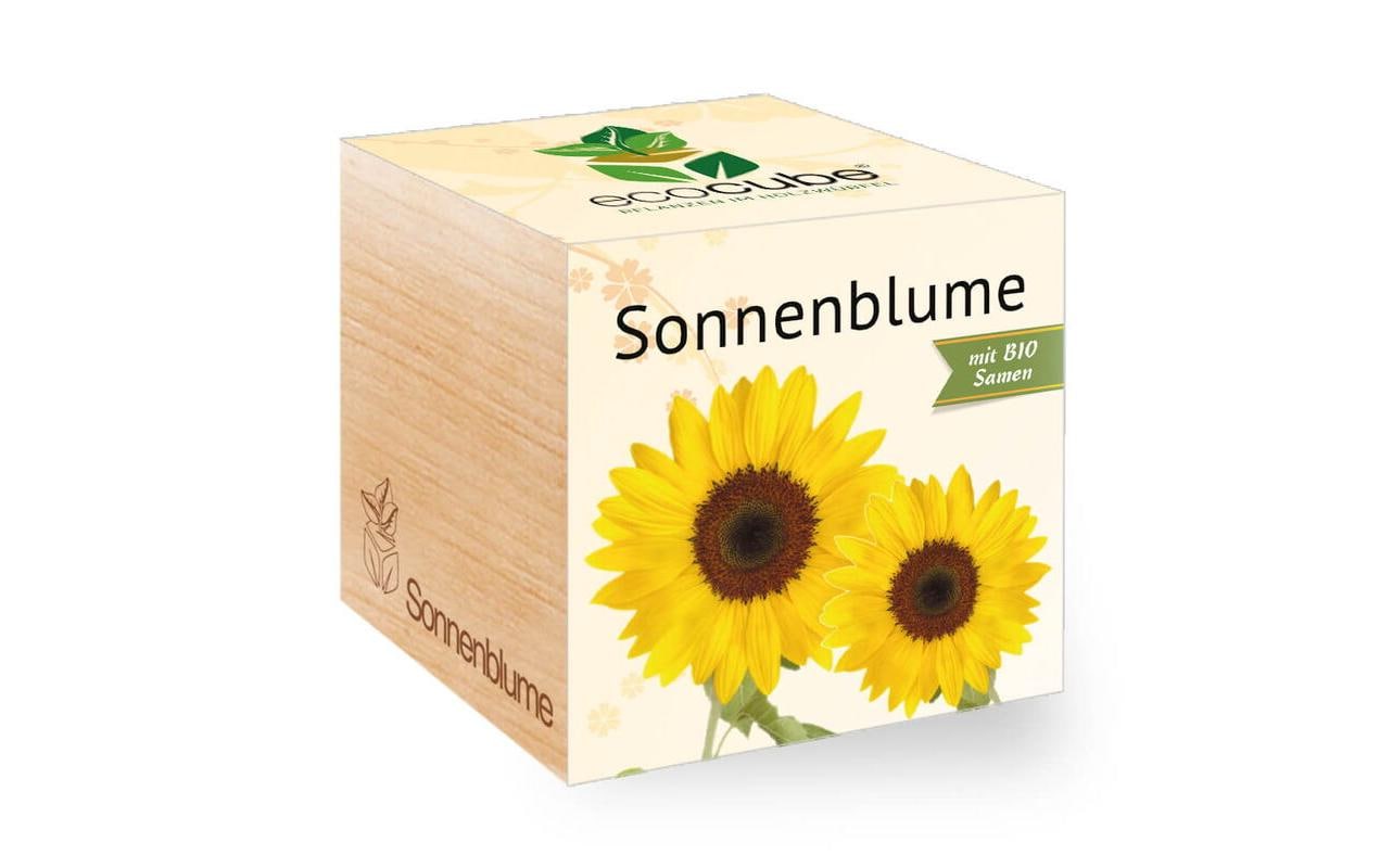 Sonnenblume BIO Ecocube