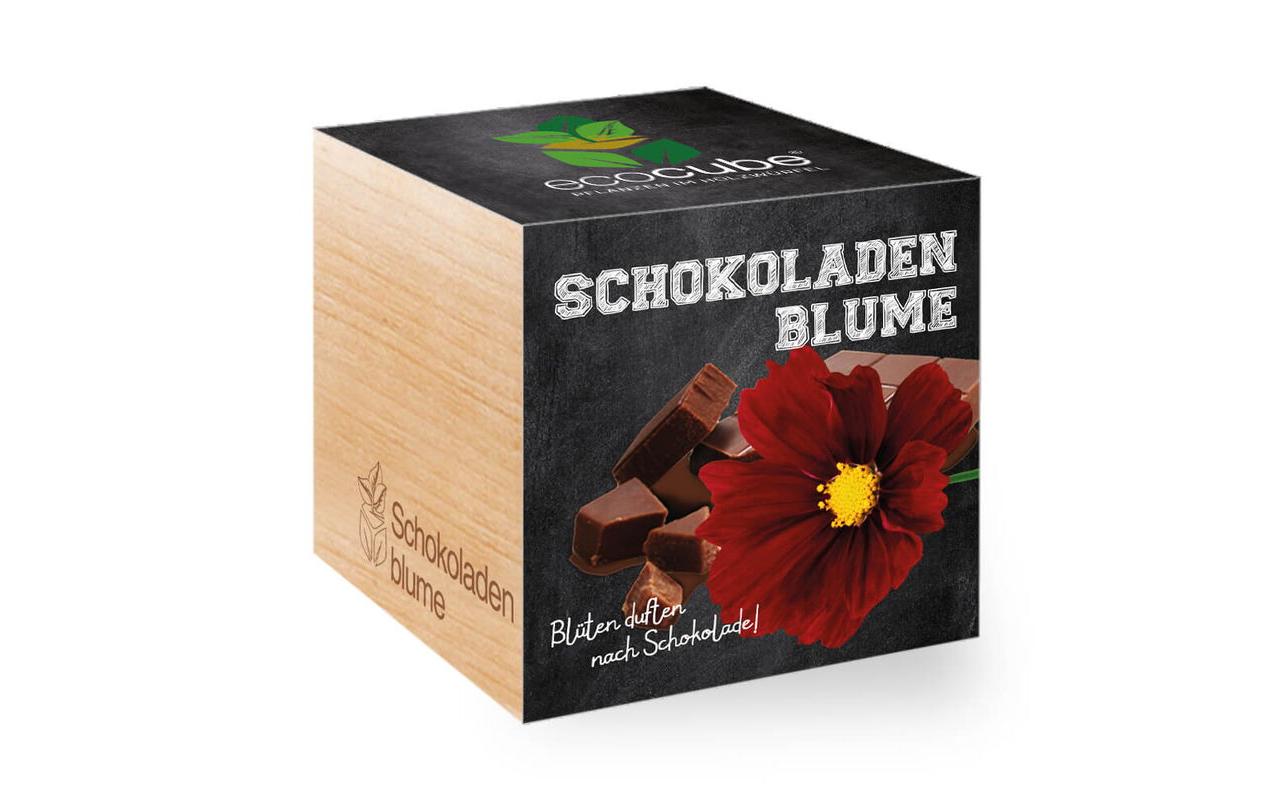 Schokoladenblume Ecocube