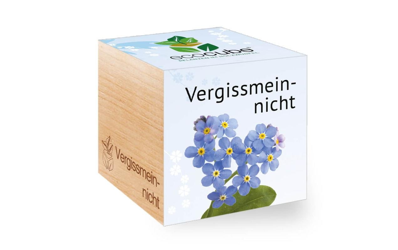 Vergissmeinnicht Ecocube