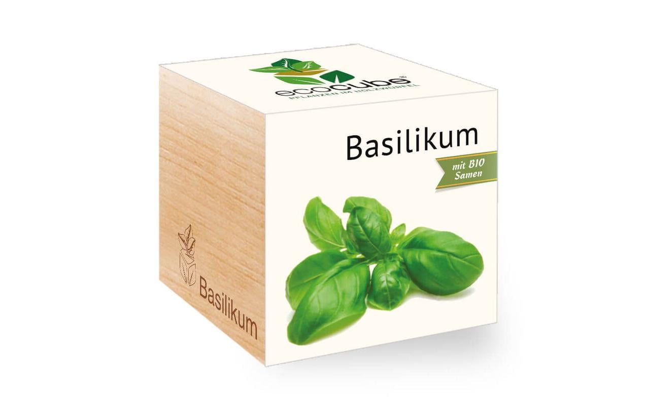 Basilikum BIO Ecocube