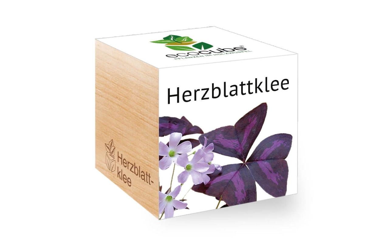 Herzblattklee Ecocube