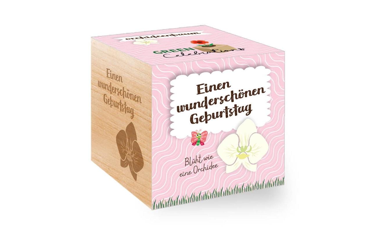 Orchideenbaum Green Celebrations