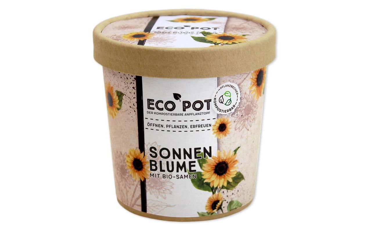 Sonnenblume BIO EcoPot