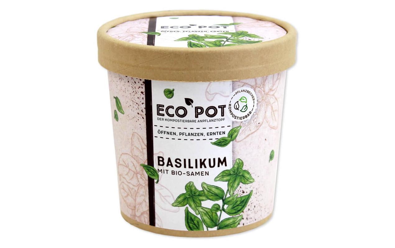 Basilikum BIO EcoPot