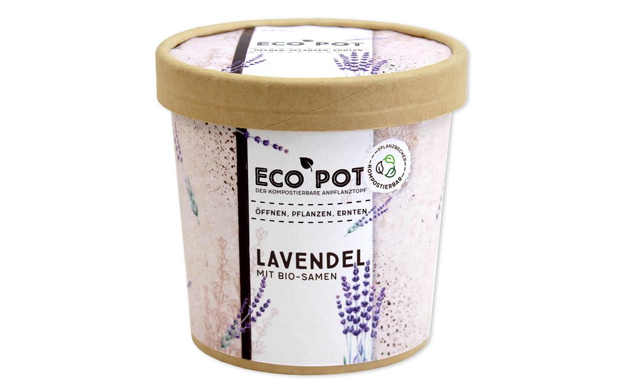 Lavendel BIO EcoPot