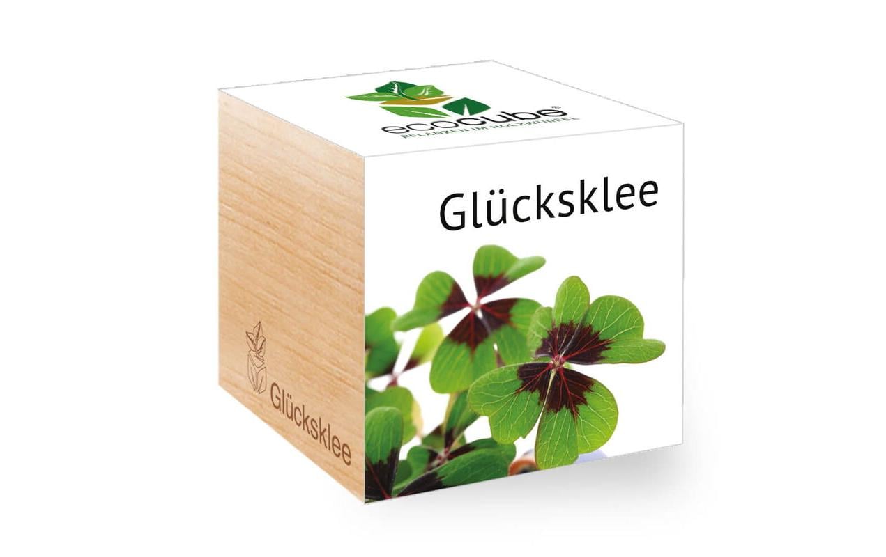 Glücksklee Ecocube