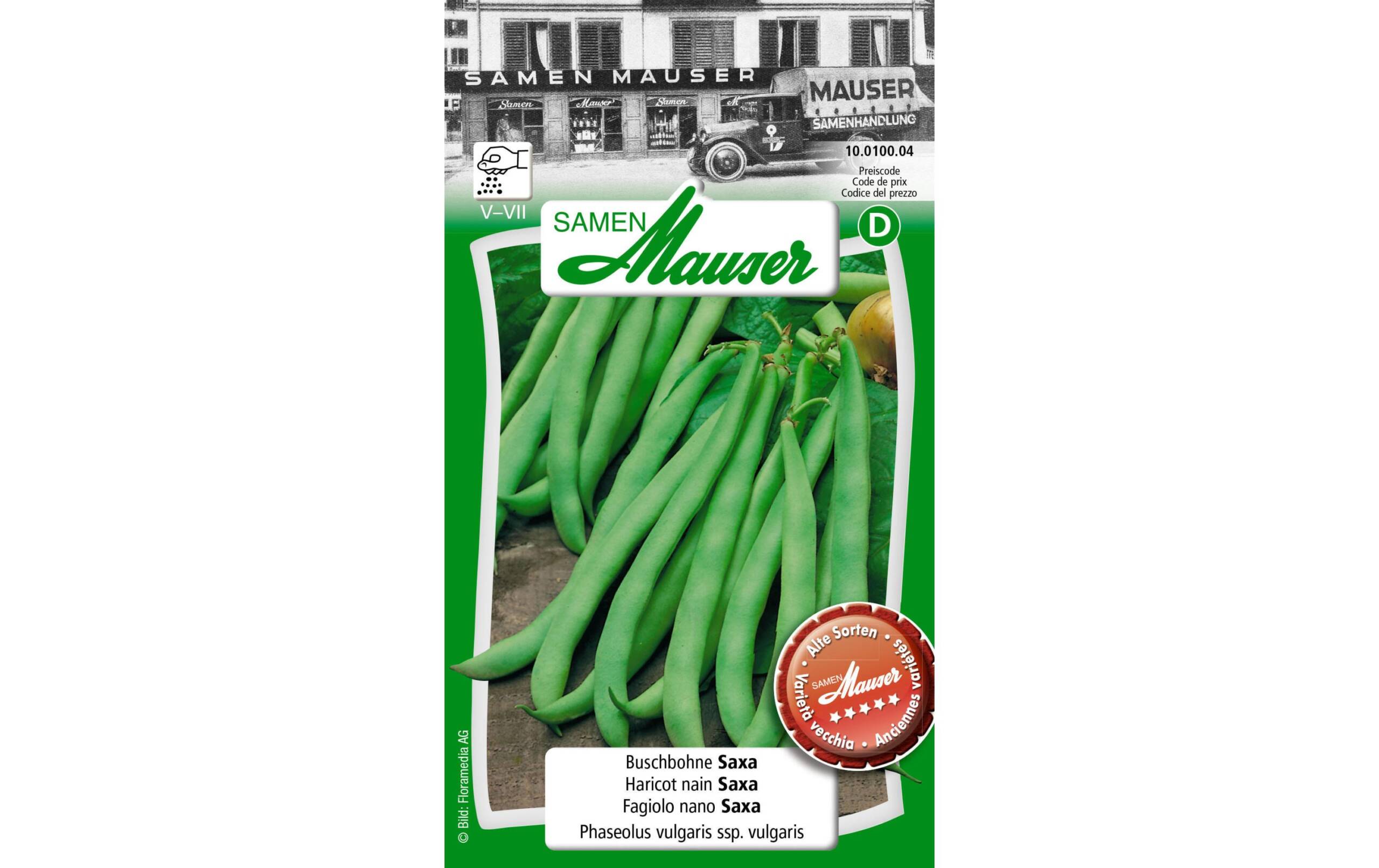 Buschbohne Saxa Phaseolus vulgaris ssp. Vulgaris