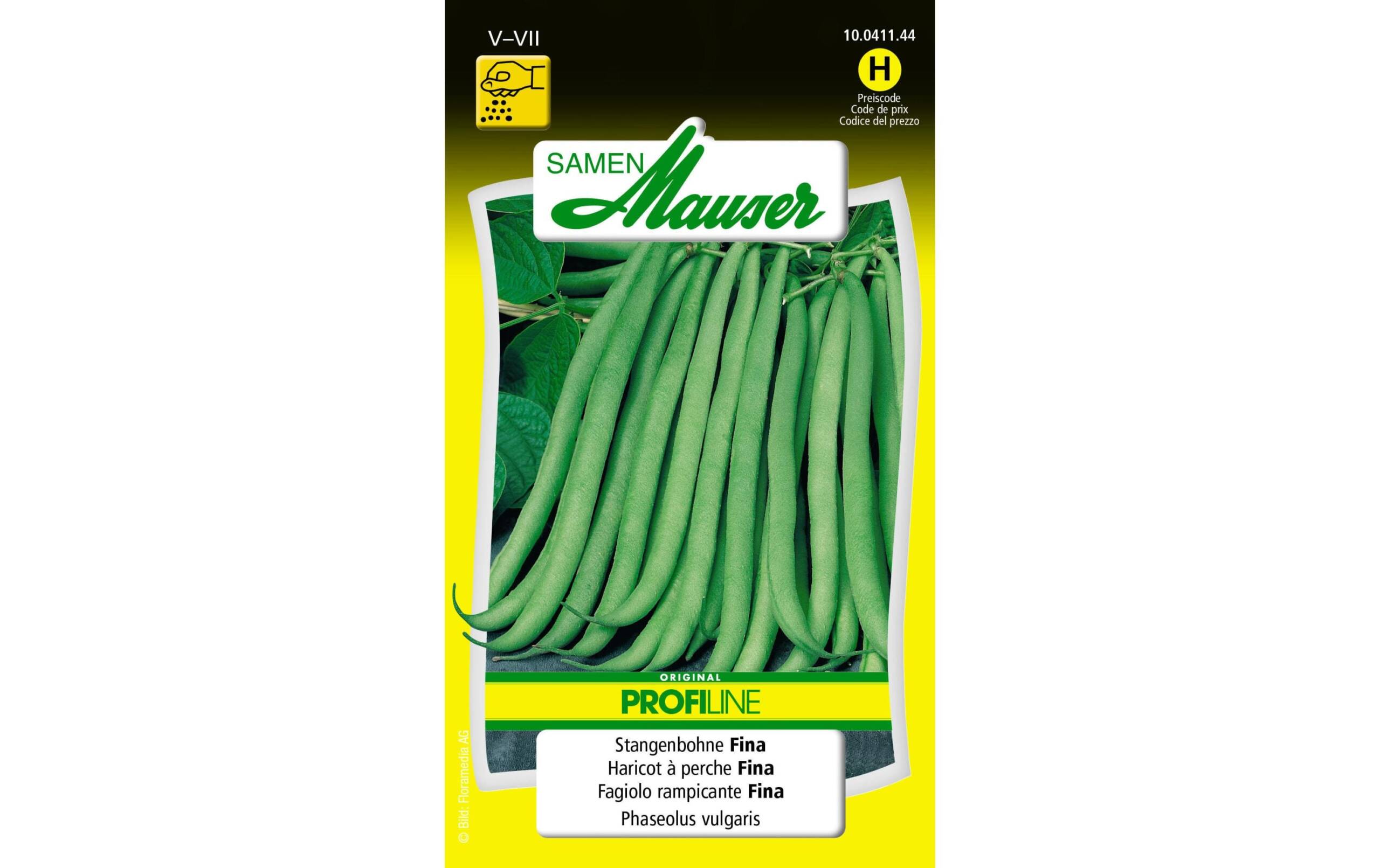 Stangenbohne Fina Phaseolus vulgaris