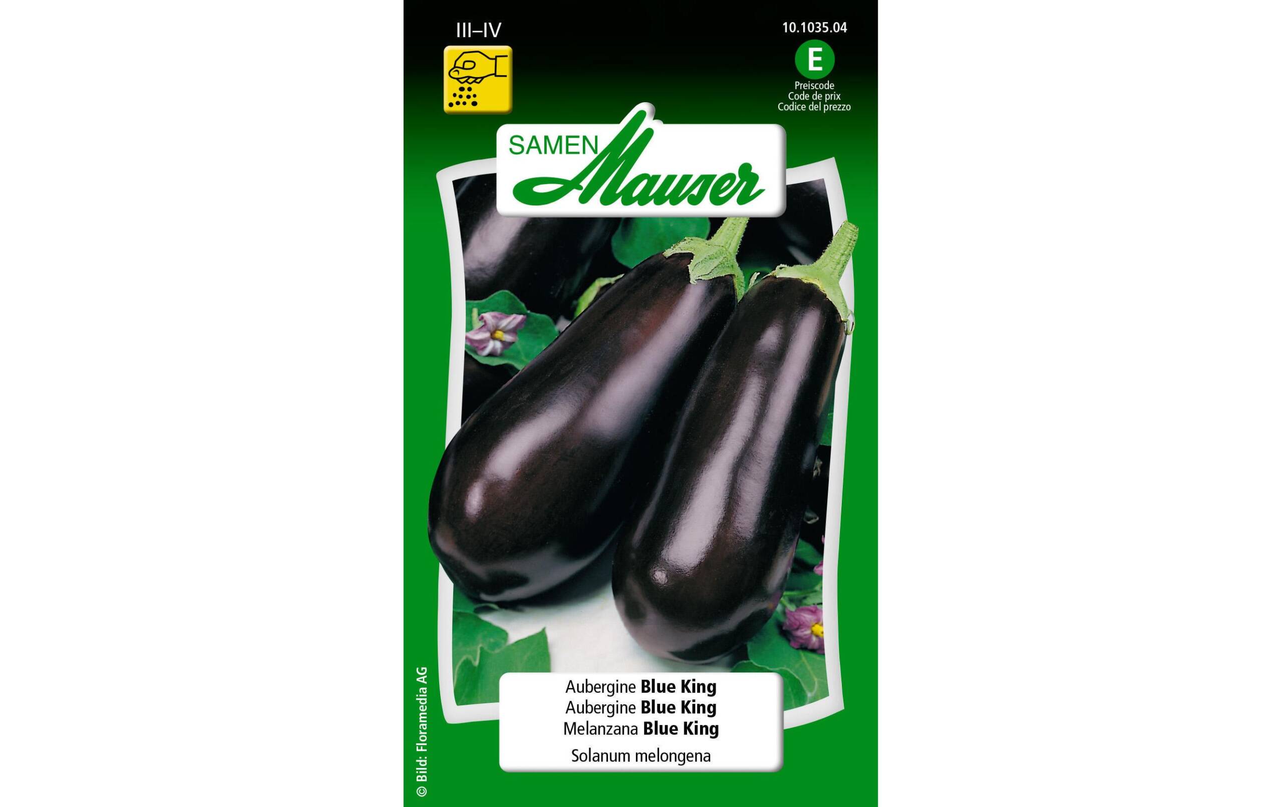 Eierfrucht Blue King Solanum melongena