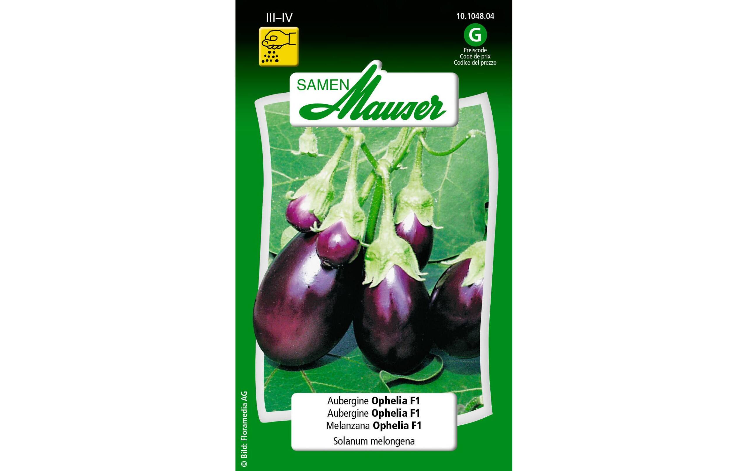 Aubergine Ophelia F1 Solanum melongena