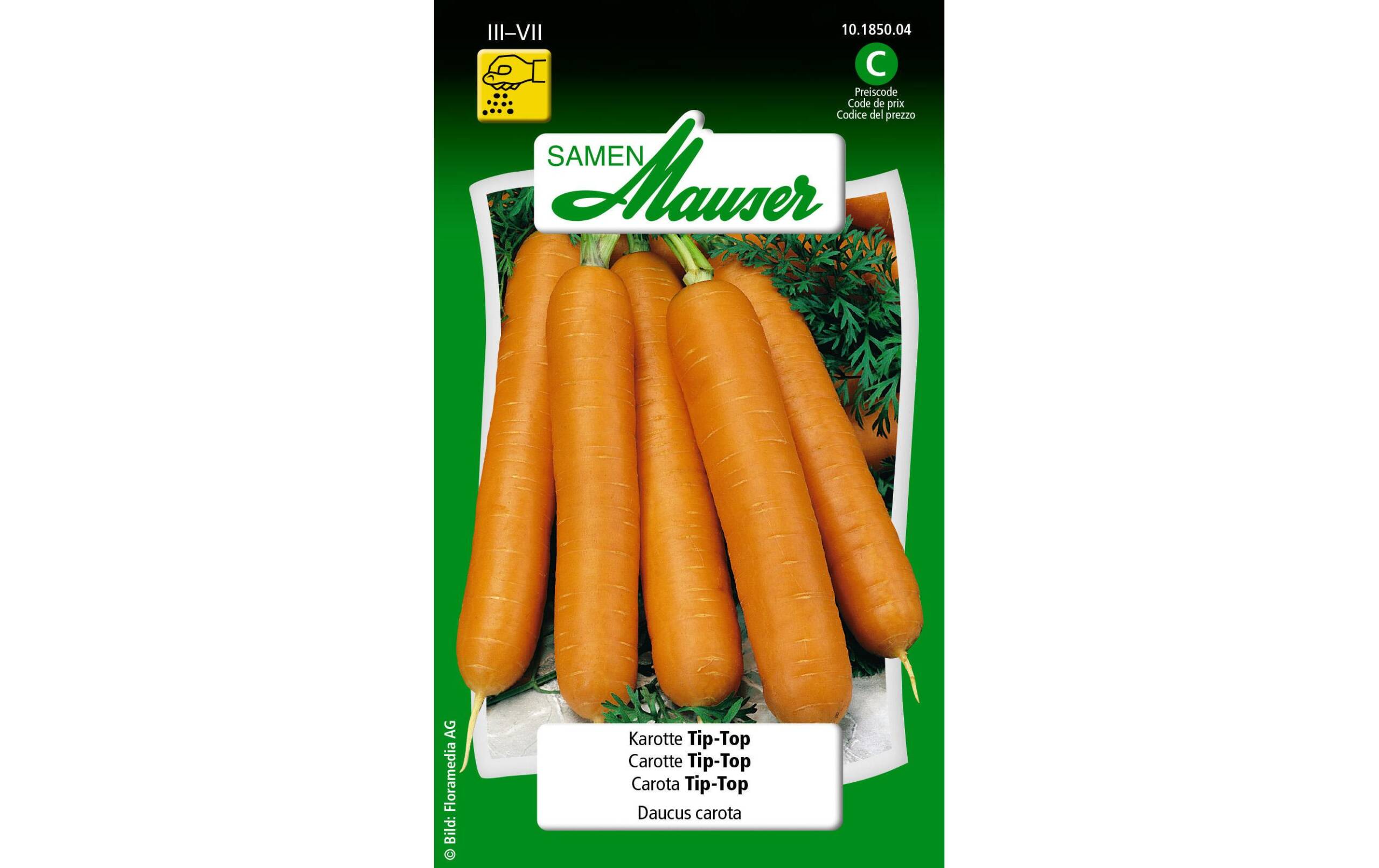 Karotte TipTop Daucus carota