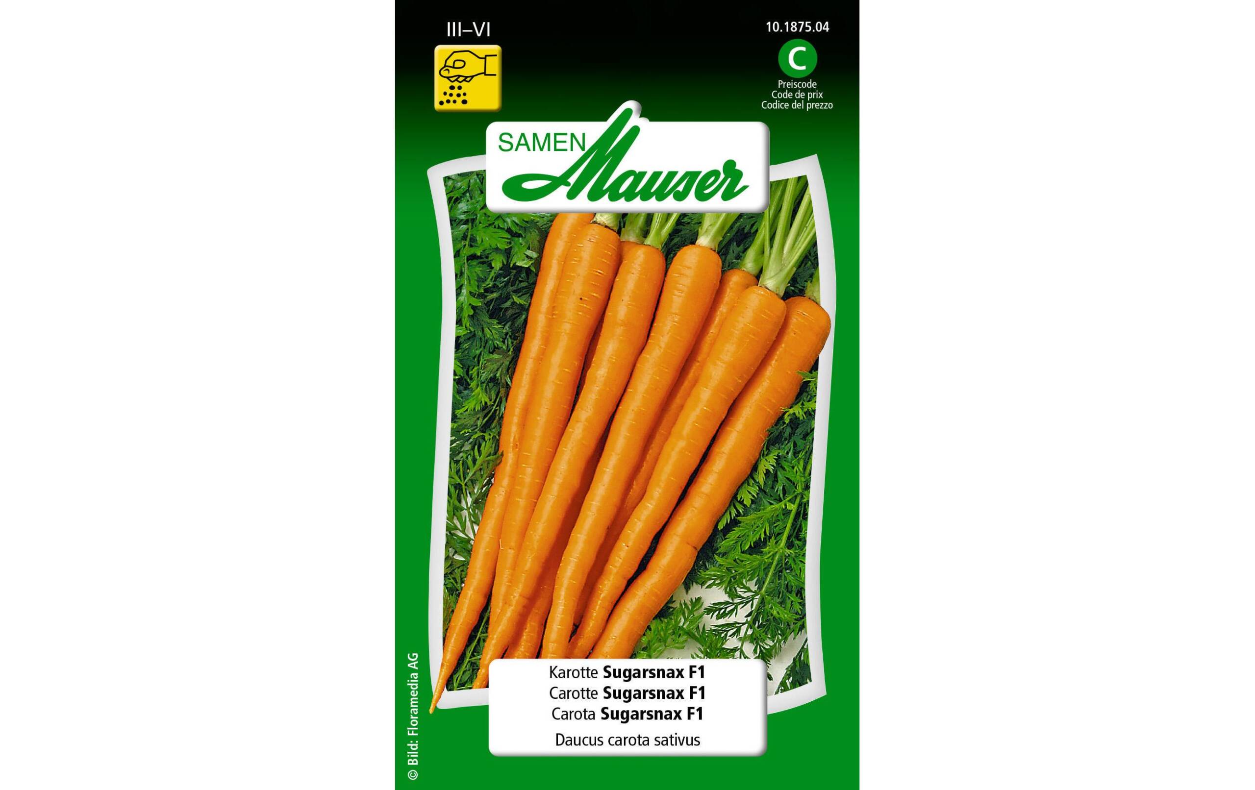 Karotte Sugarsnax F1 Daucus carota sativus – Bild 2
