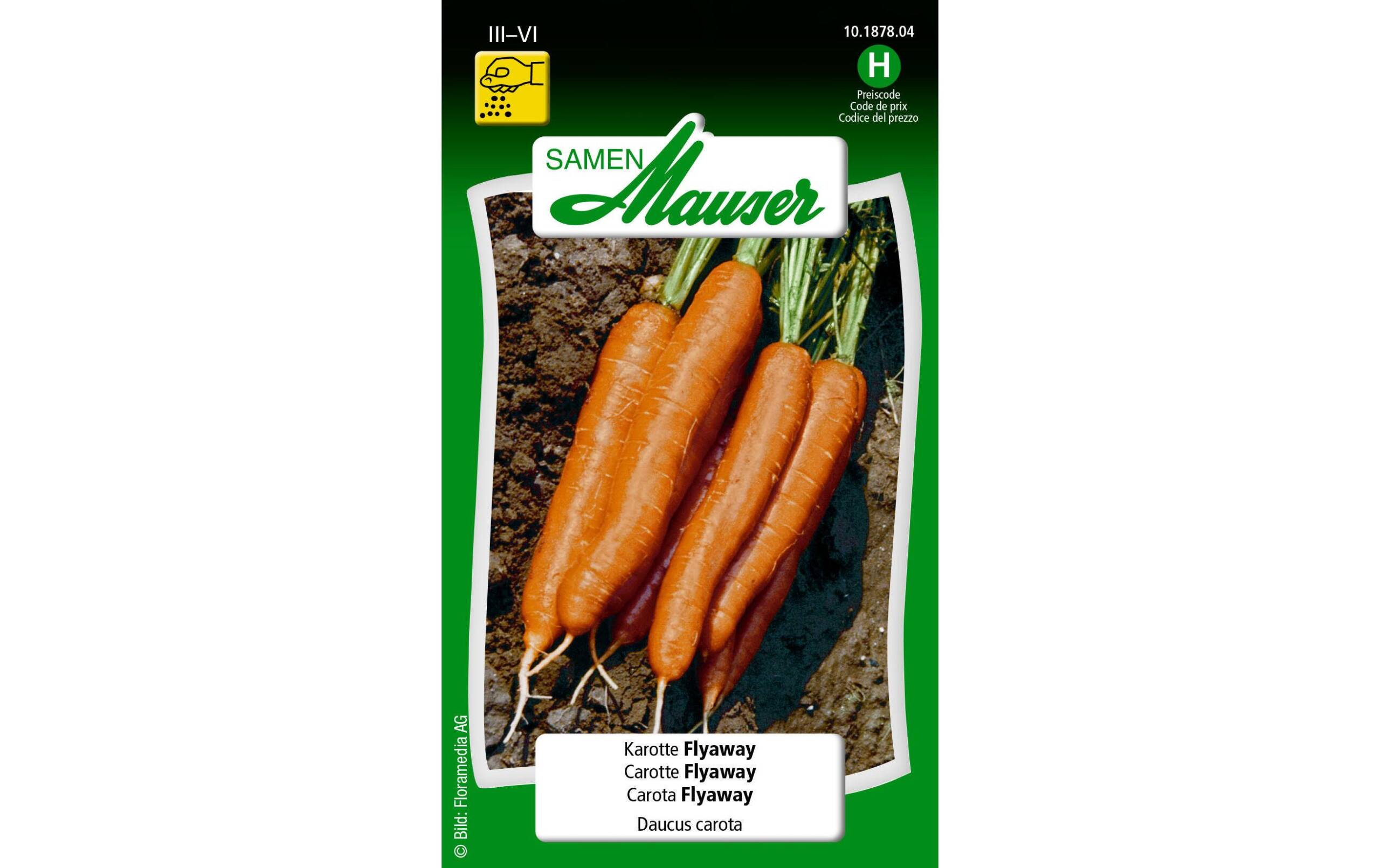 Karotte Flyaway Daucus carota