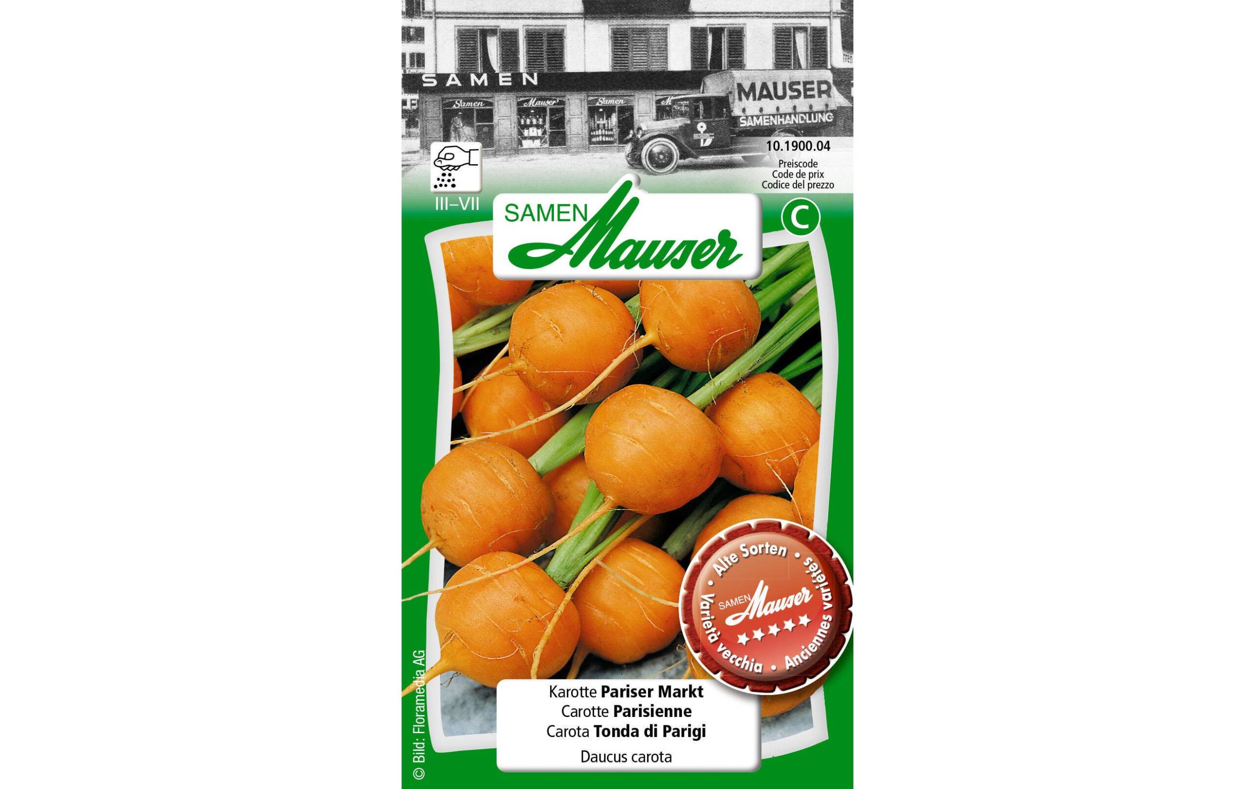 Karotte Pariser Markt Daucus carota