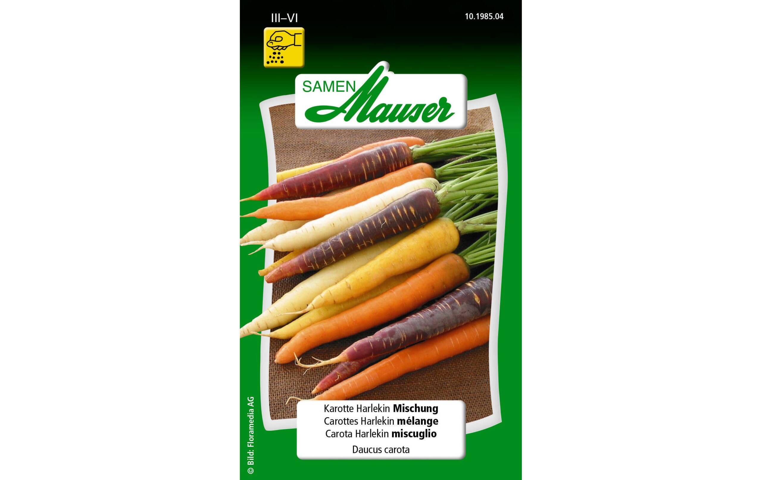 Karotte Harlekin Mischung Daucus carota