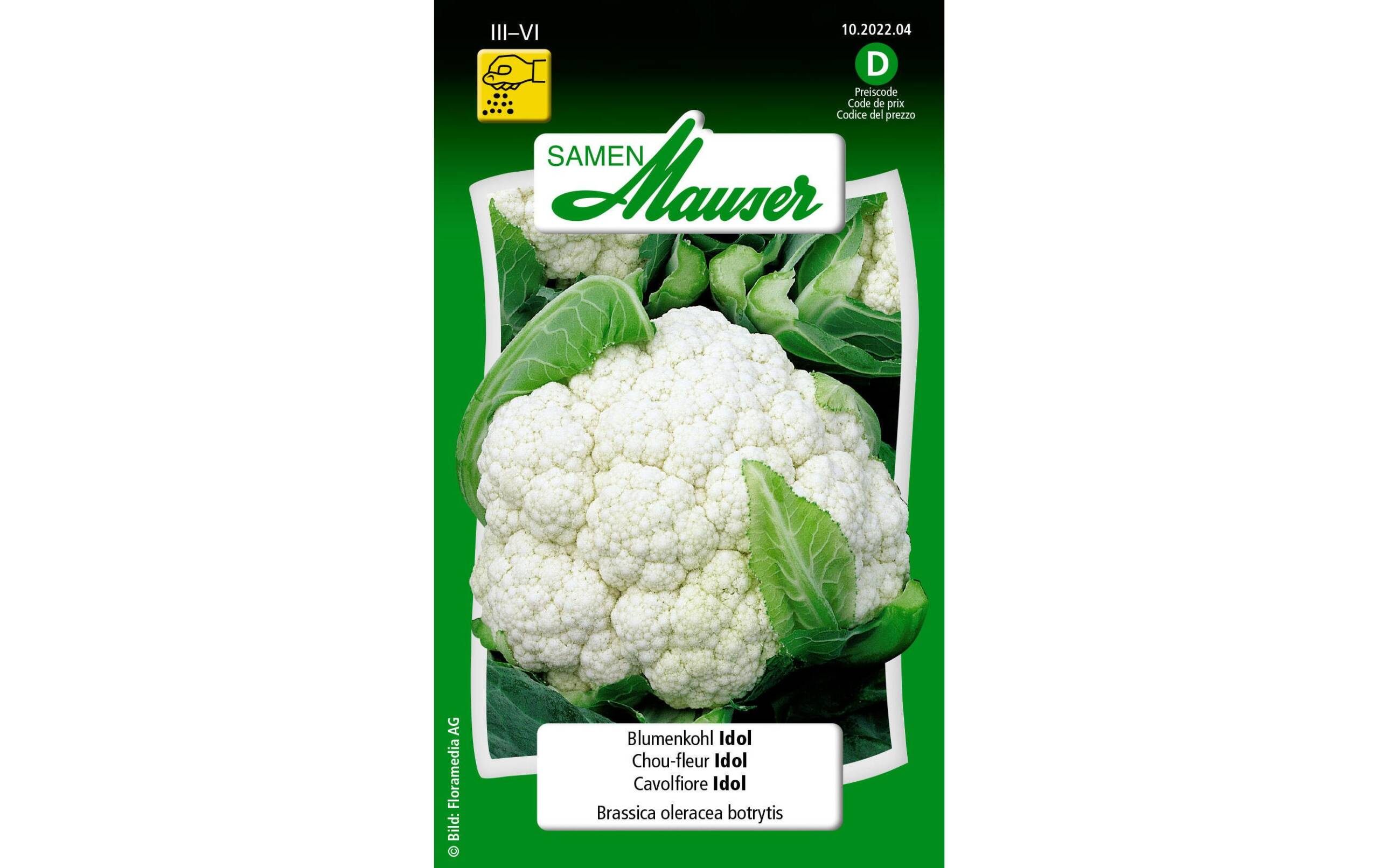 Blumenkohl Idol Brassica oleracea botrytis