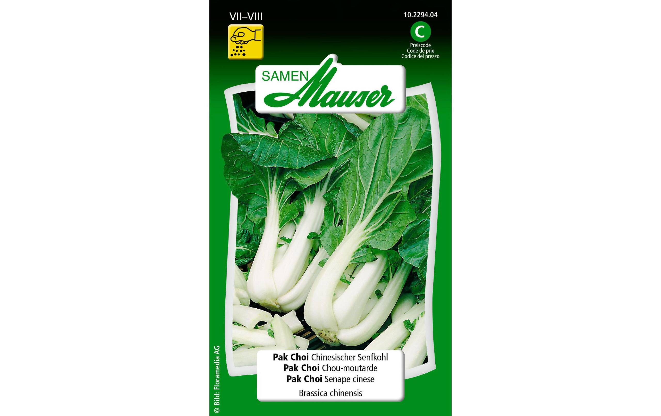 Pak Choi Chinesischer Senfkohl Brassica chinensis