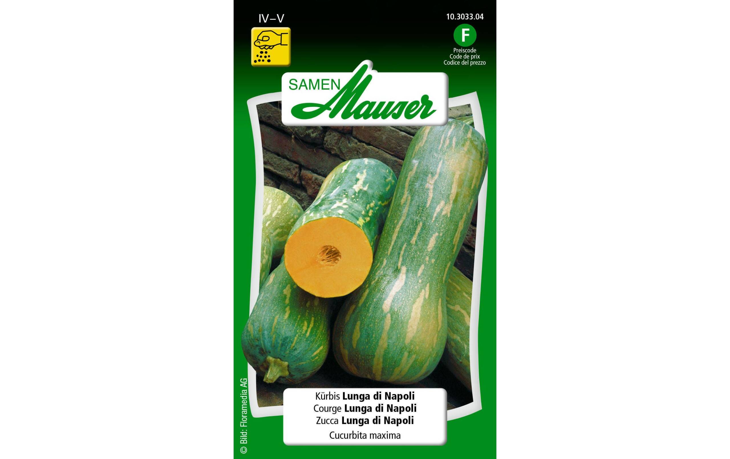 Kürbis Lunga di Napoli Cucurbita maxima