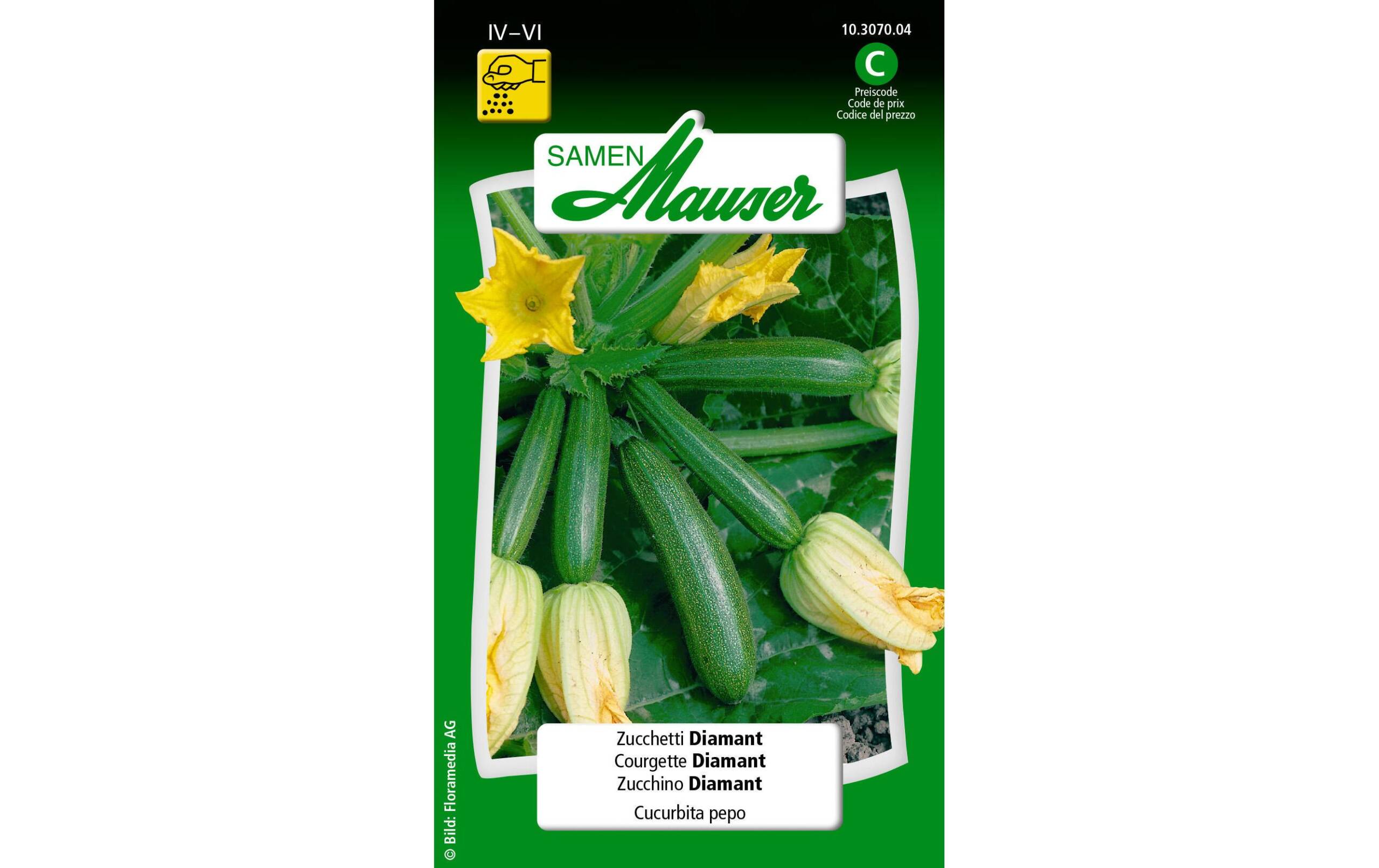 Zucchetti Diamant Cucurbita pepo