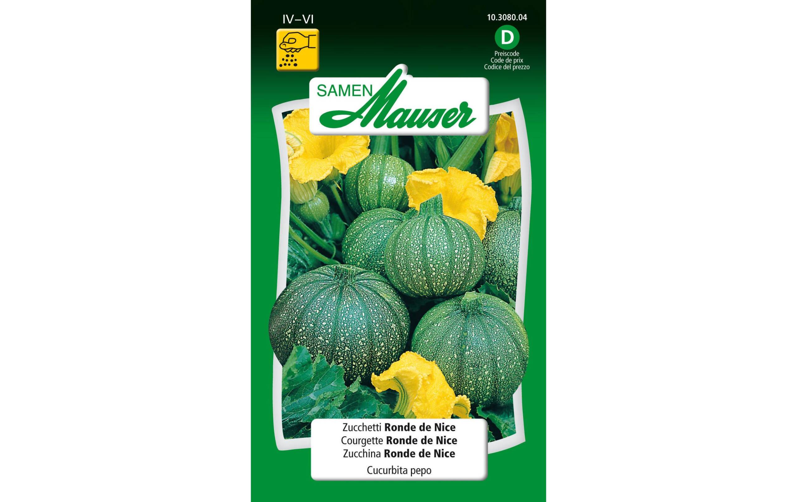 Zucchetti Ronde de Nice Cucurbita pepo