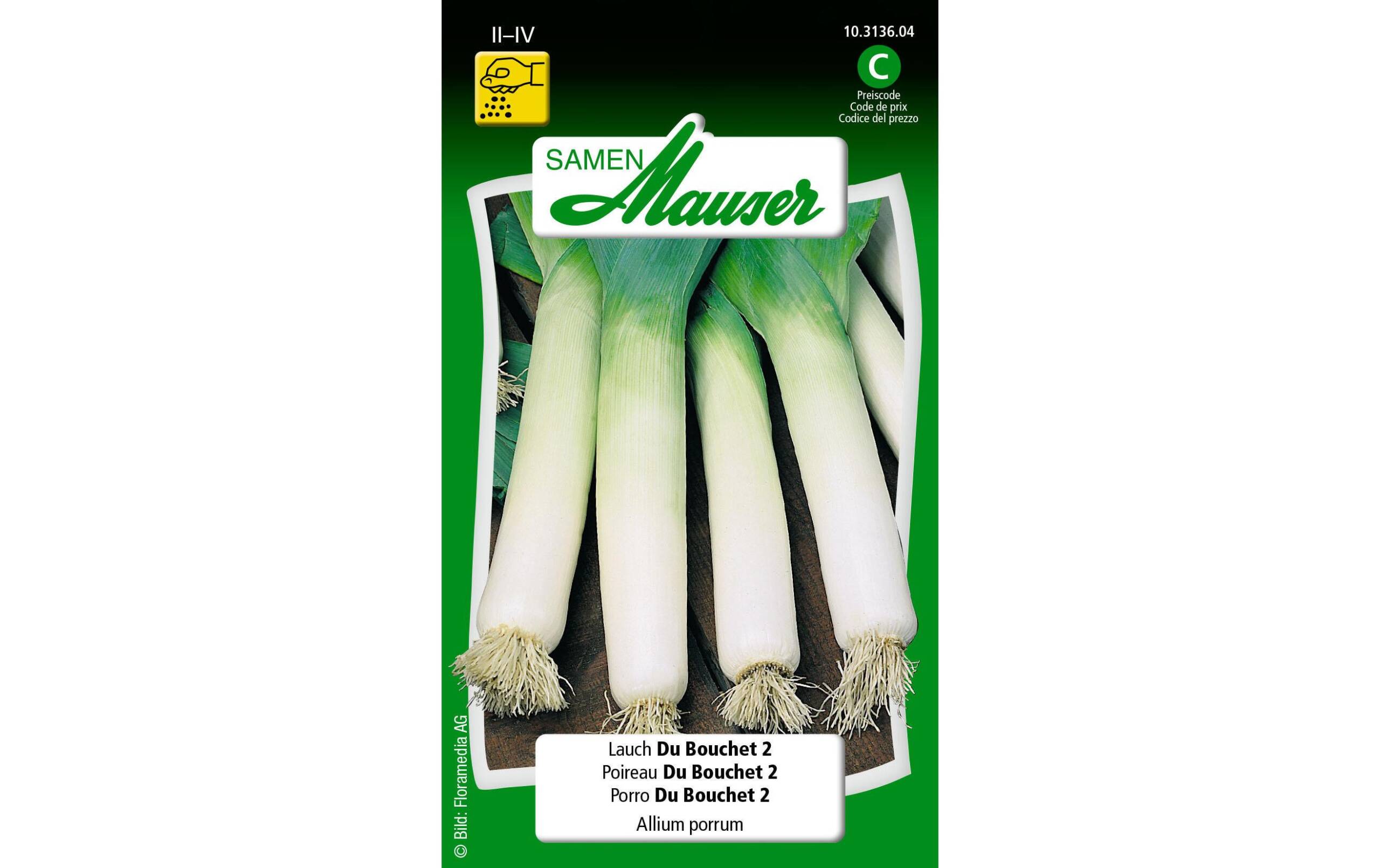 Lauch Du Bouchet 2 Allium porrum