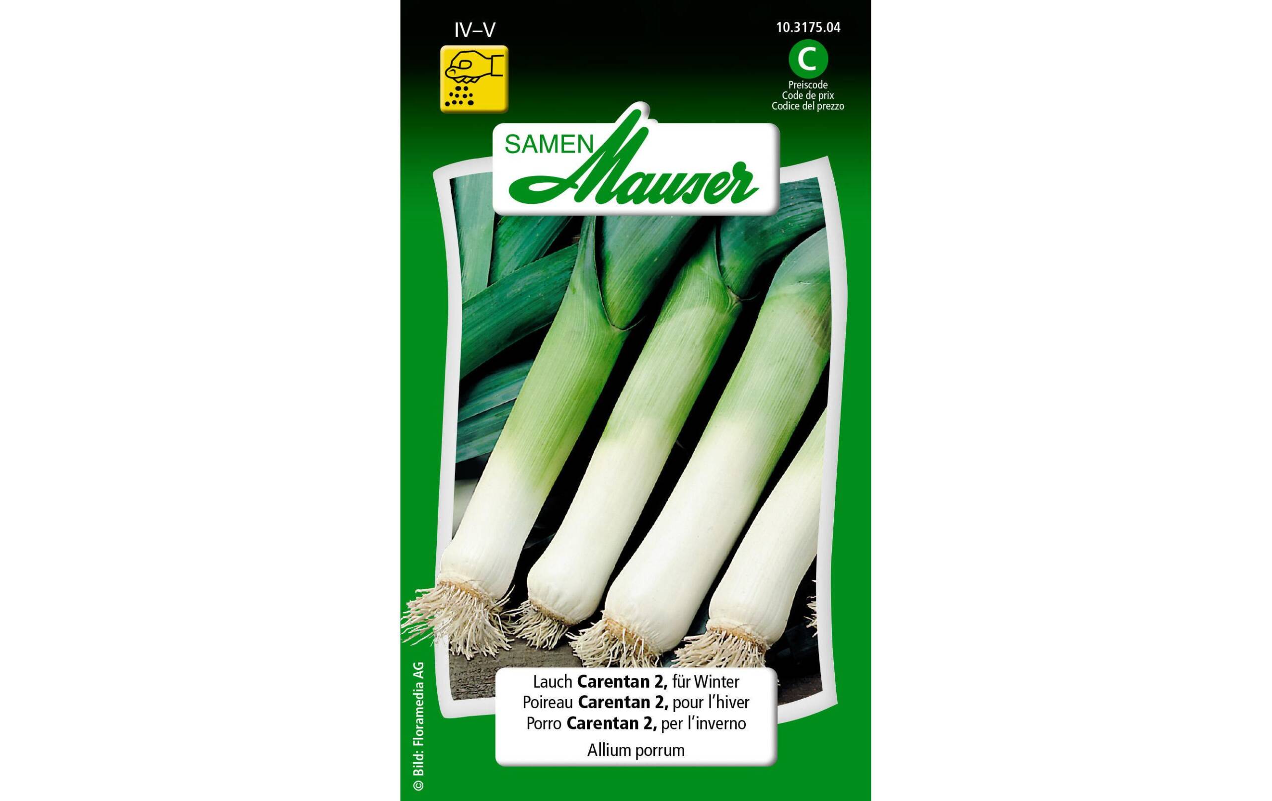Lauch Carentan 2, für Winter Allium porrum – Bild 2