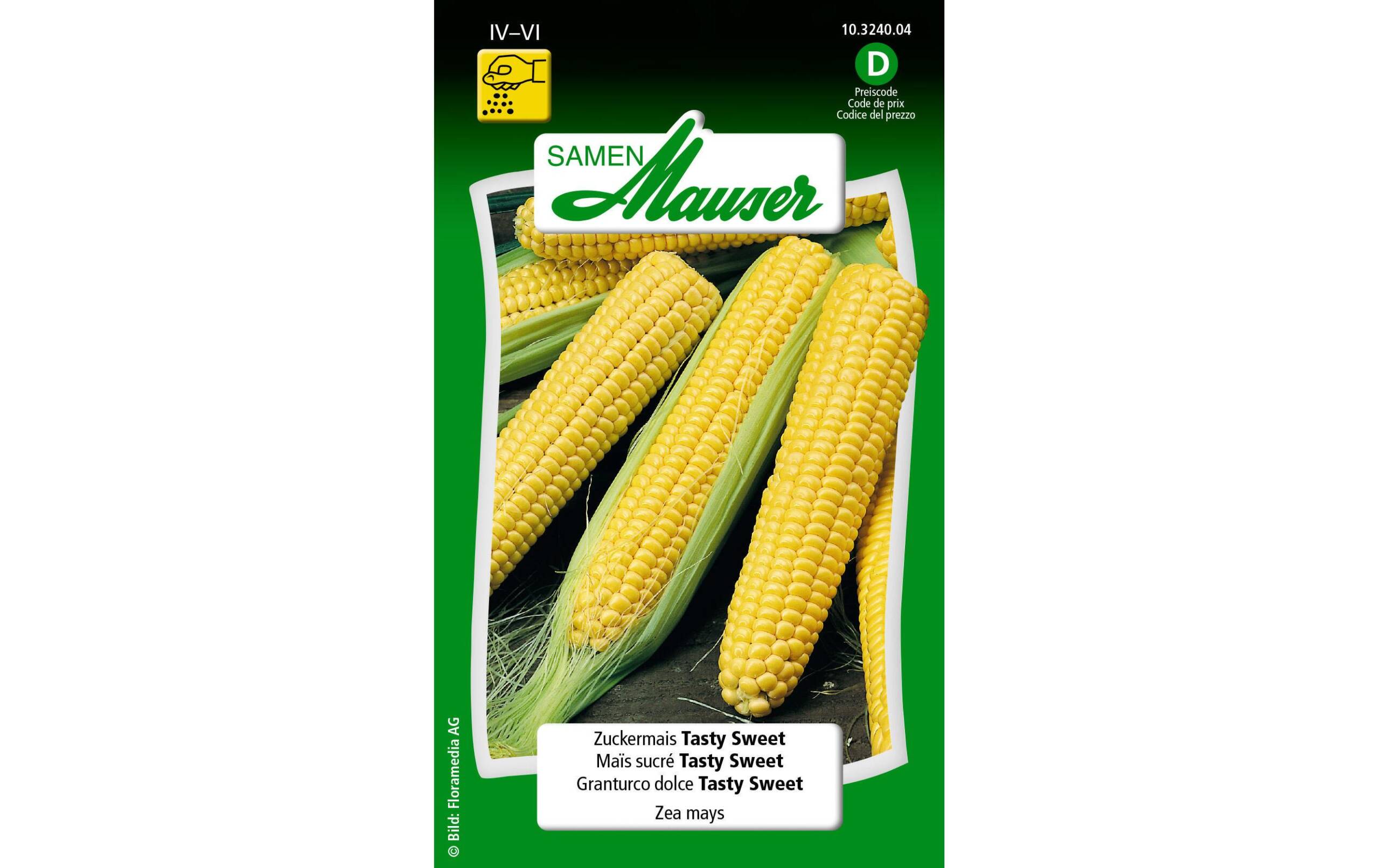 Zuckermais Tasty Sweet Zea mays