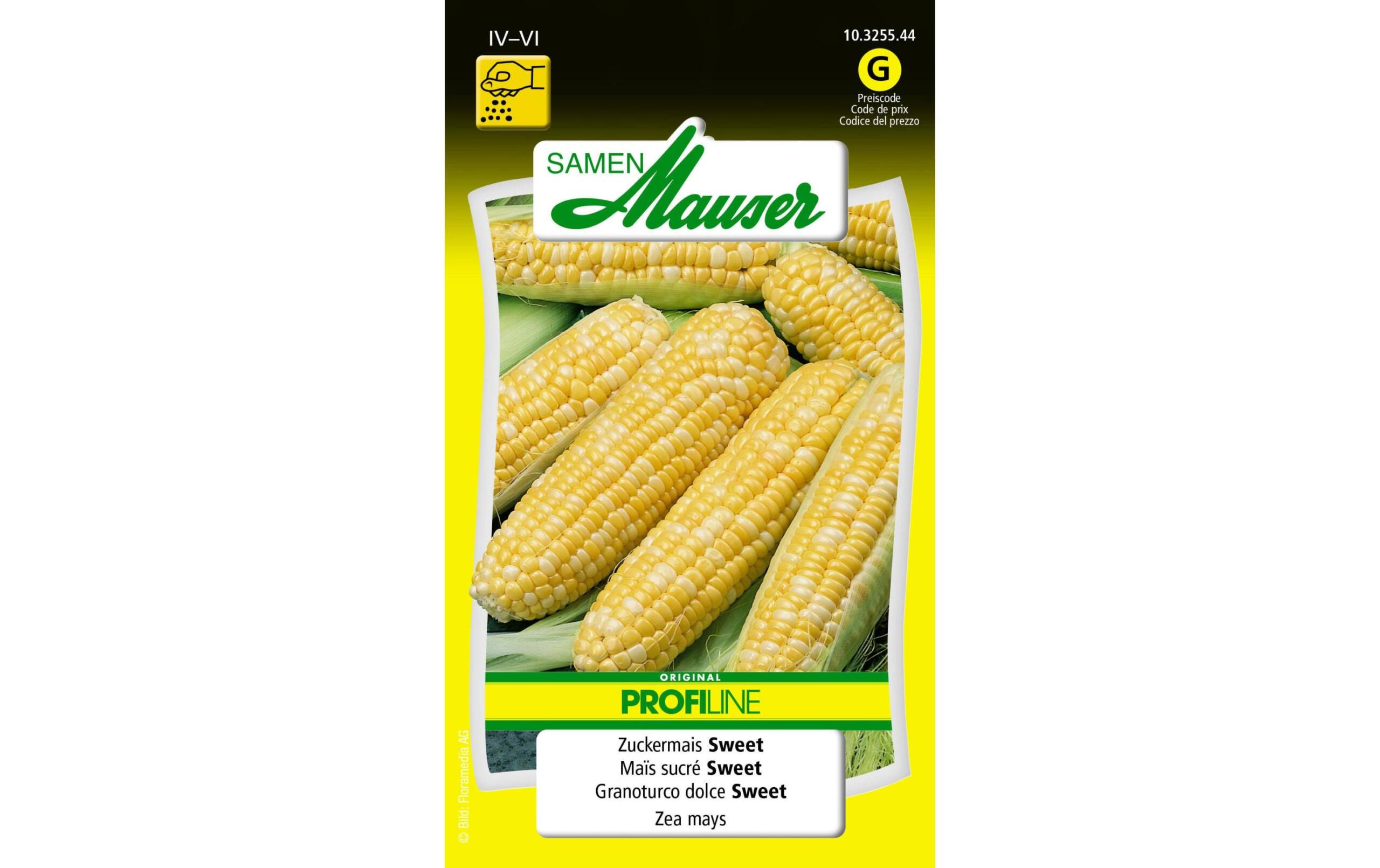 Zuckermais Sweet Zea mays