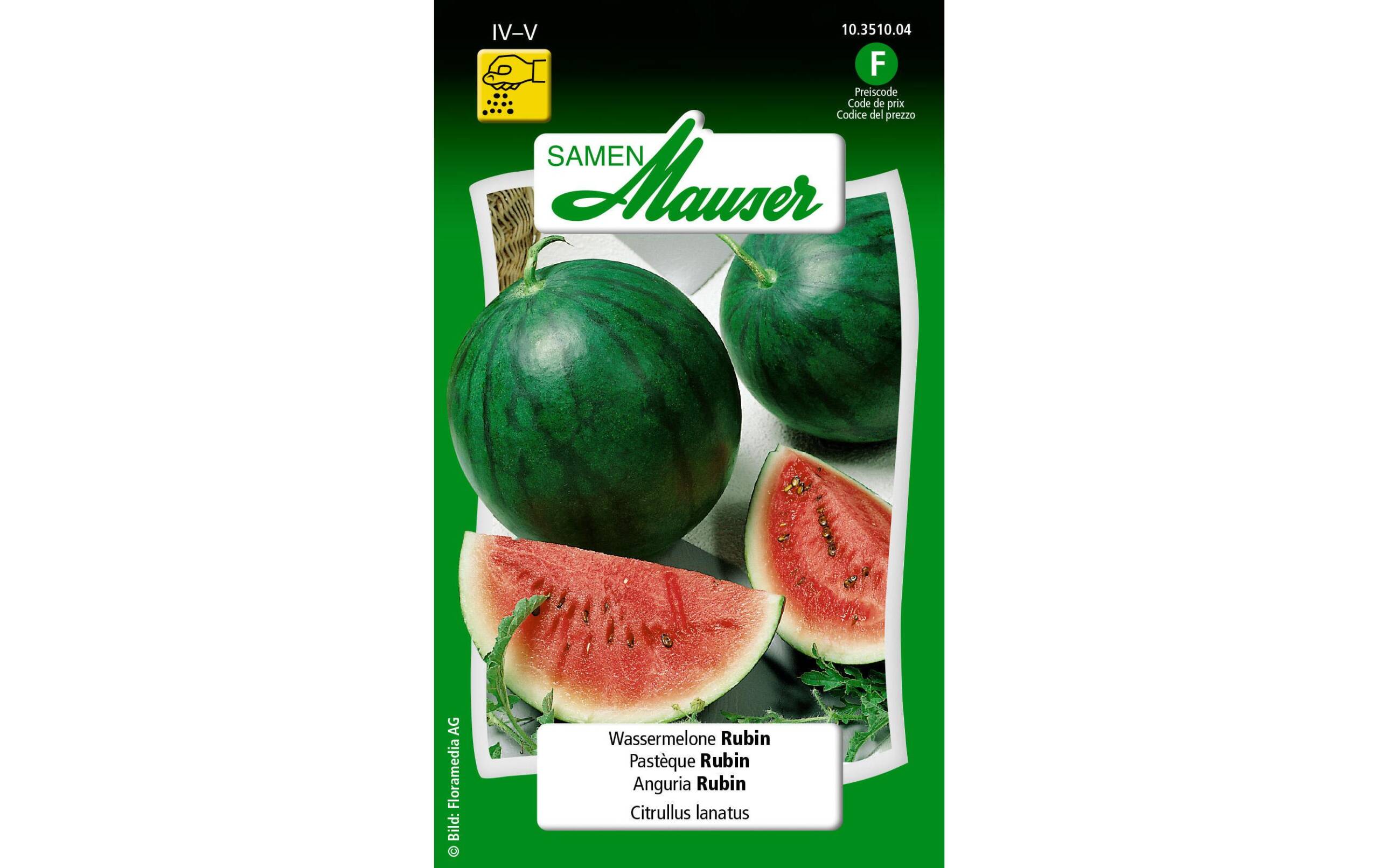 Wassermelone Rubin Cucumis melo