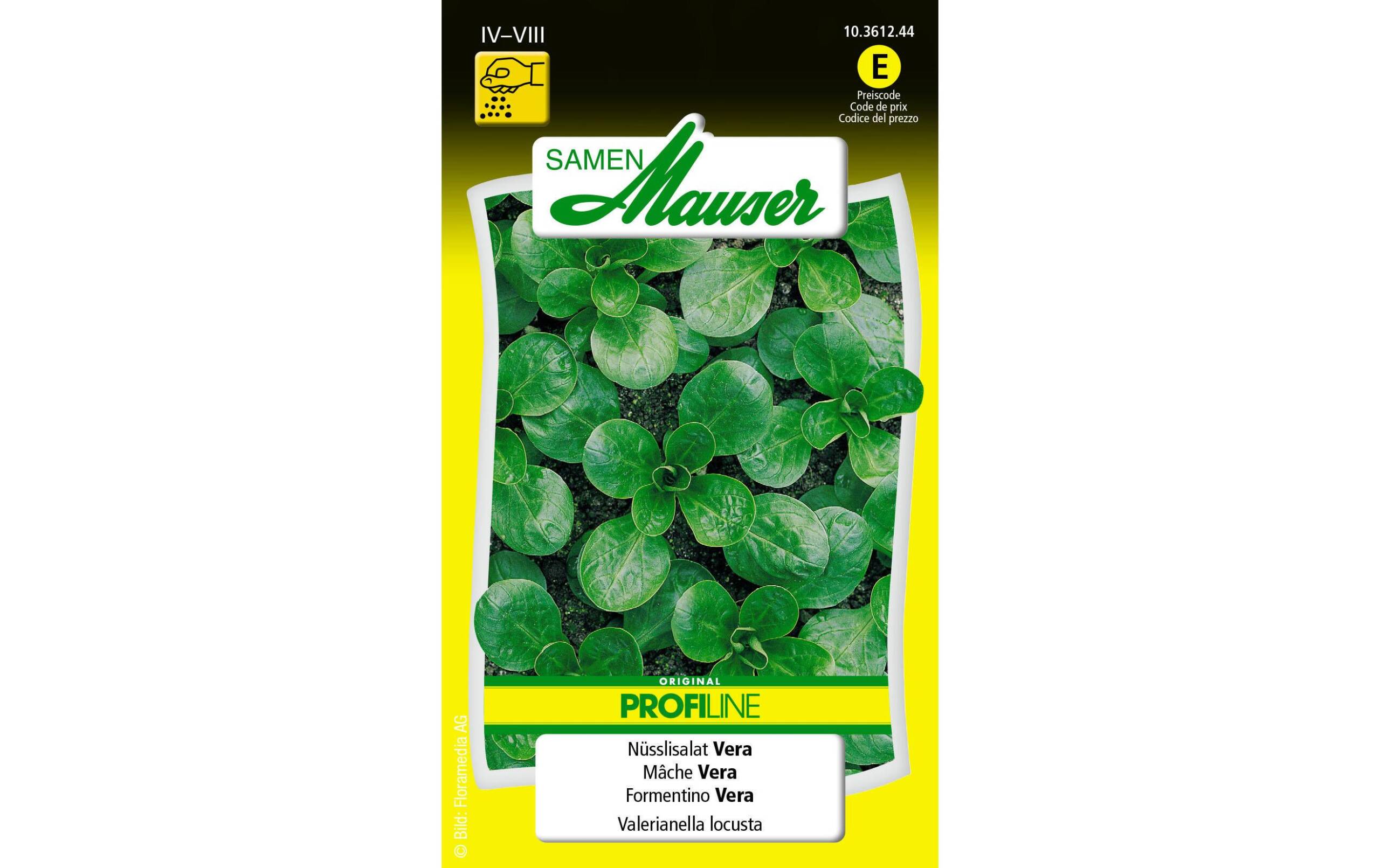 Nüsslisalat Vera Valerianella locusta – Bild 2