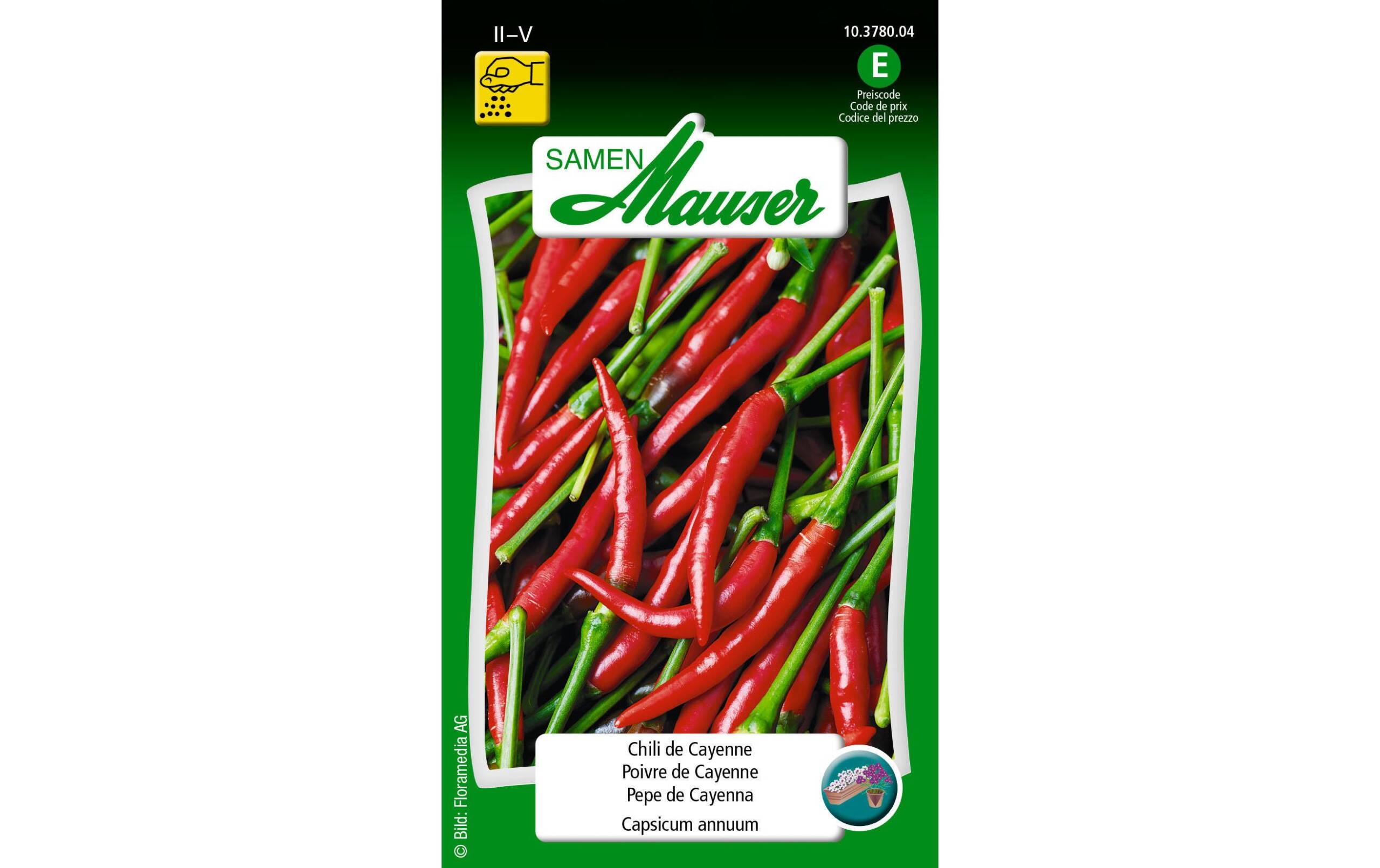 Chili de Cayenne rot Capiscum annuum de Cayenne – Bild 2