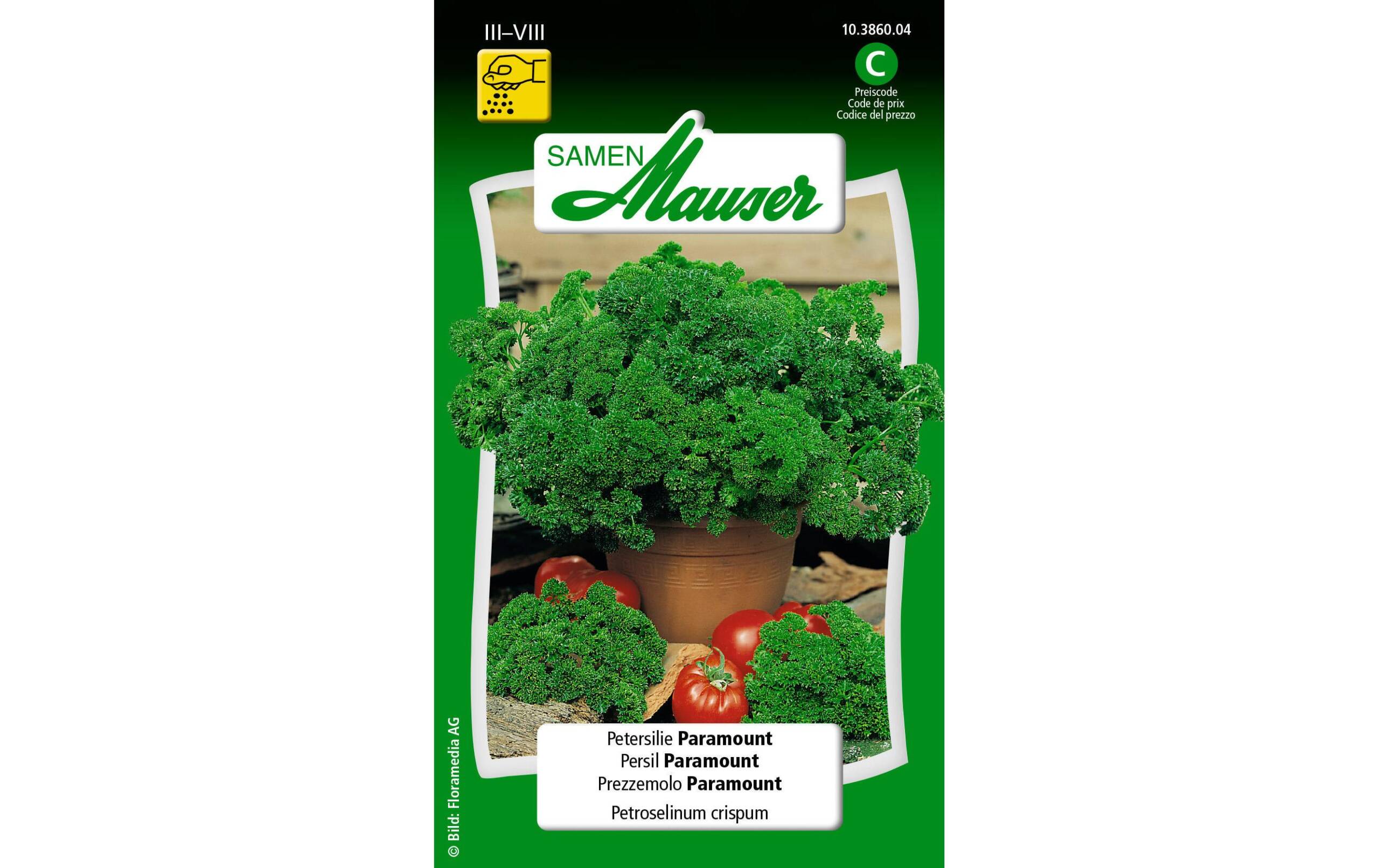 Petersilie Paramount Petroselinum crispum