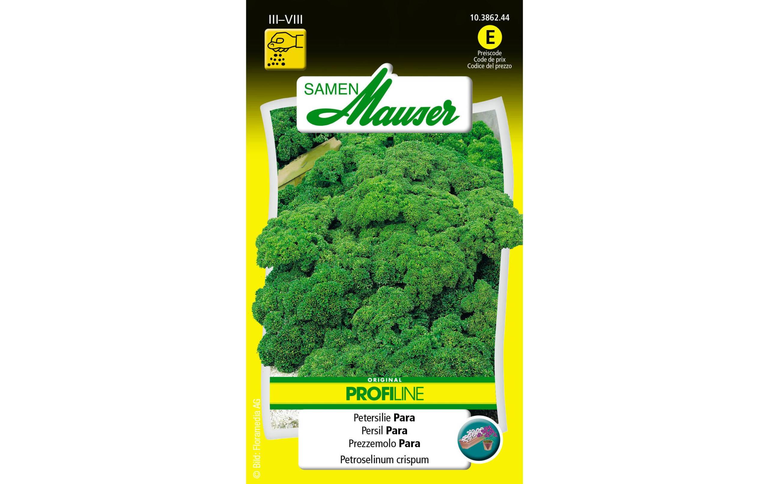 Petersilie Para Petroselinum crispum