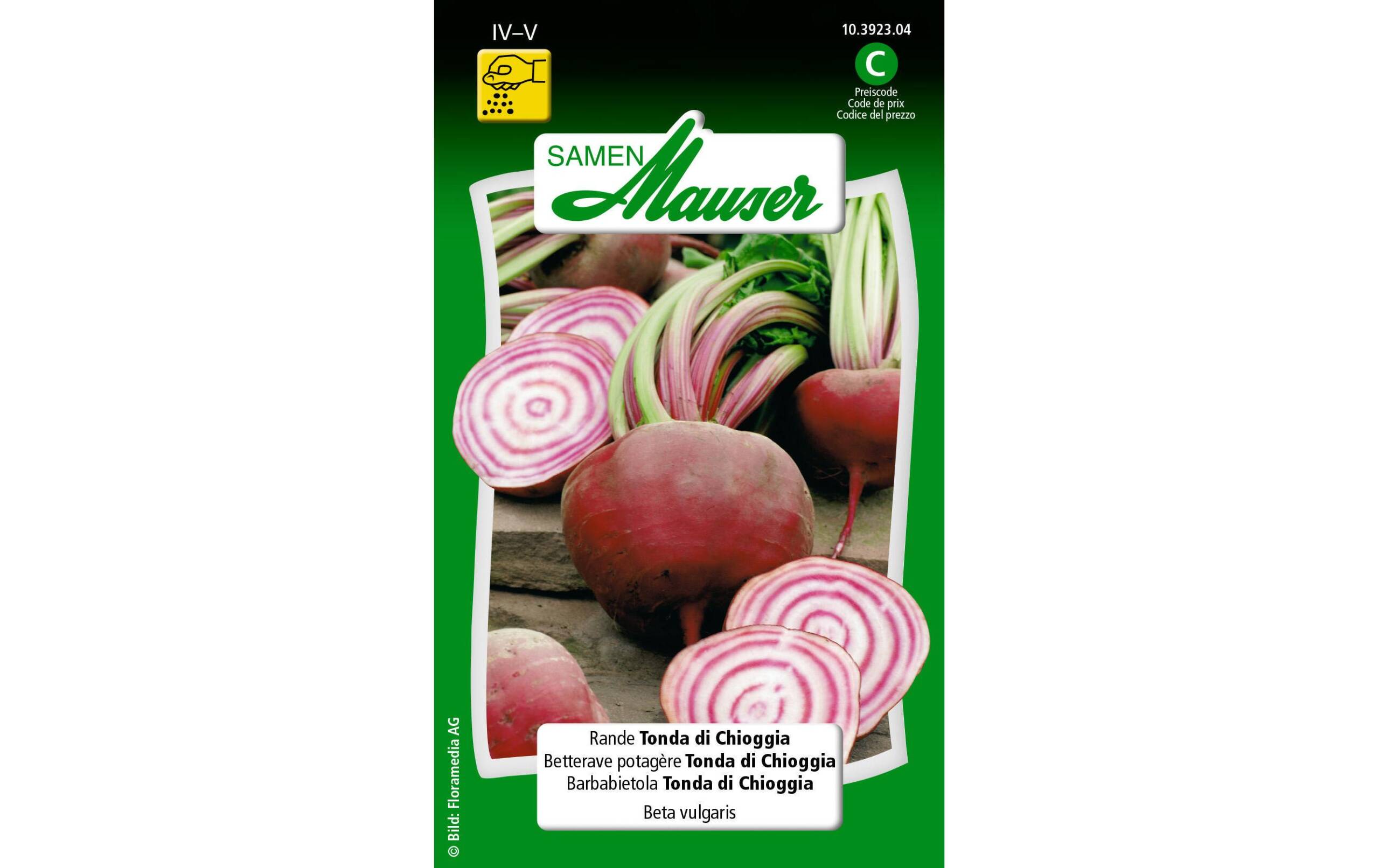 Rande Tonda di Chioggia Beta vulgaris