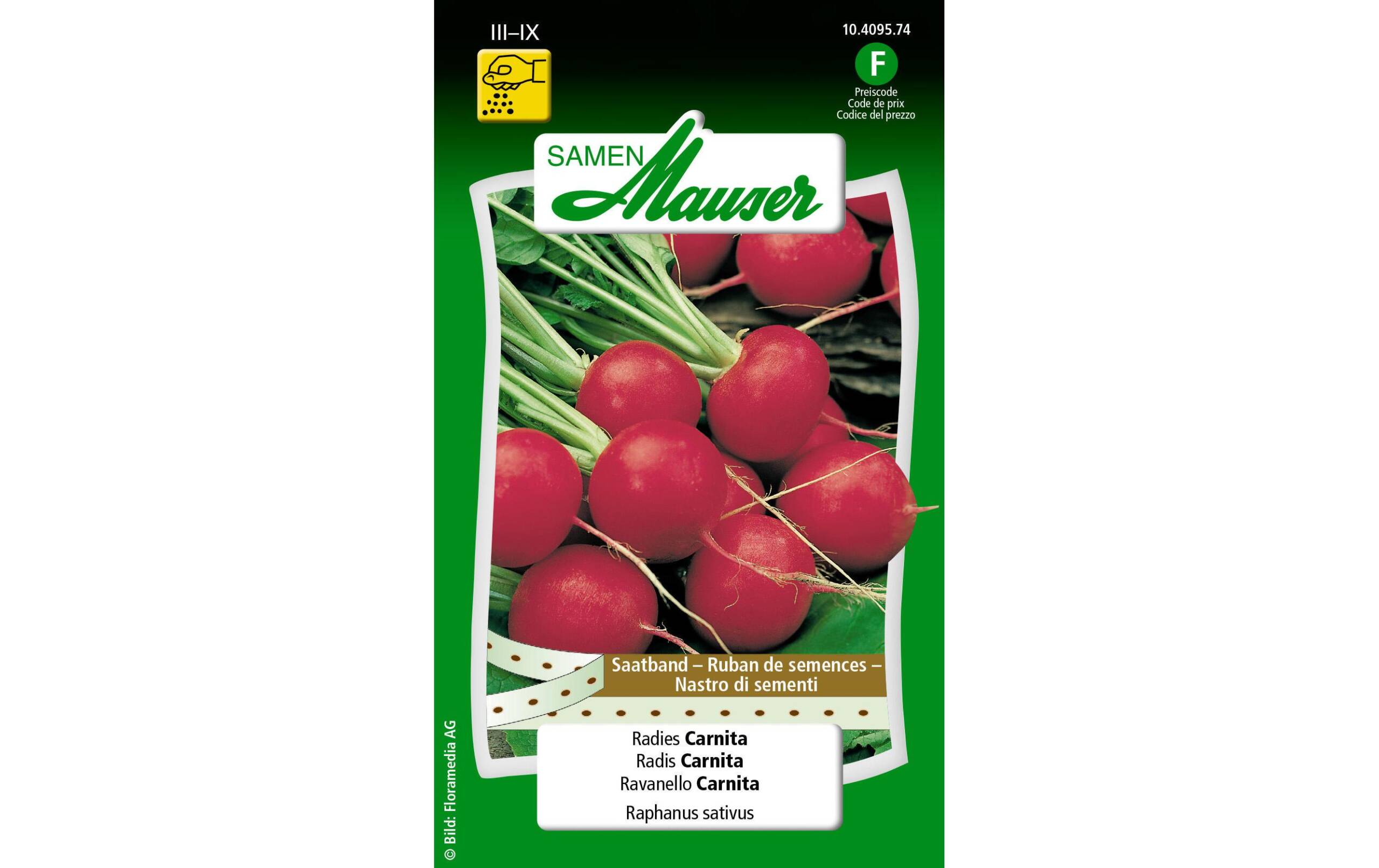 Saatband Radies Carnita Saatband Raphanus sativus